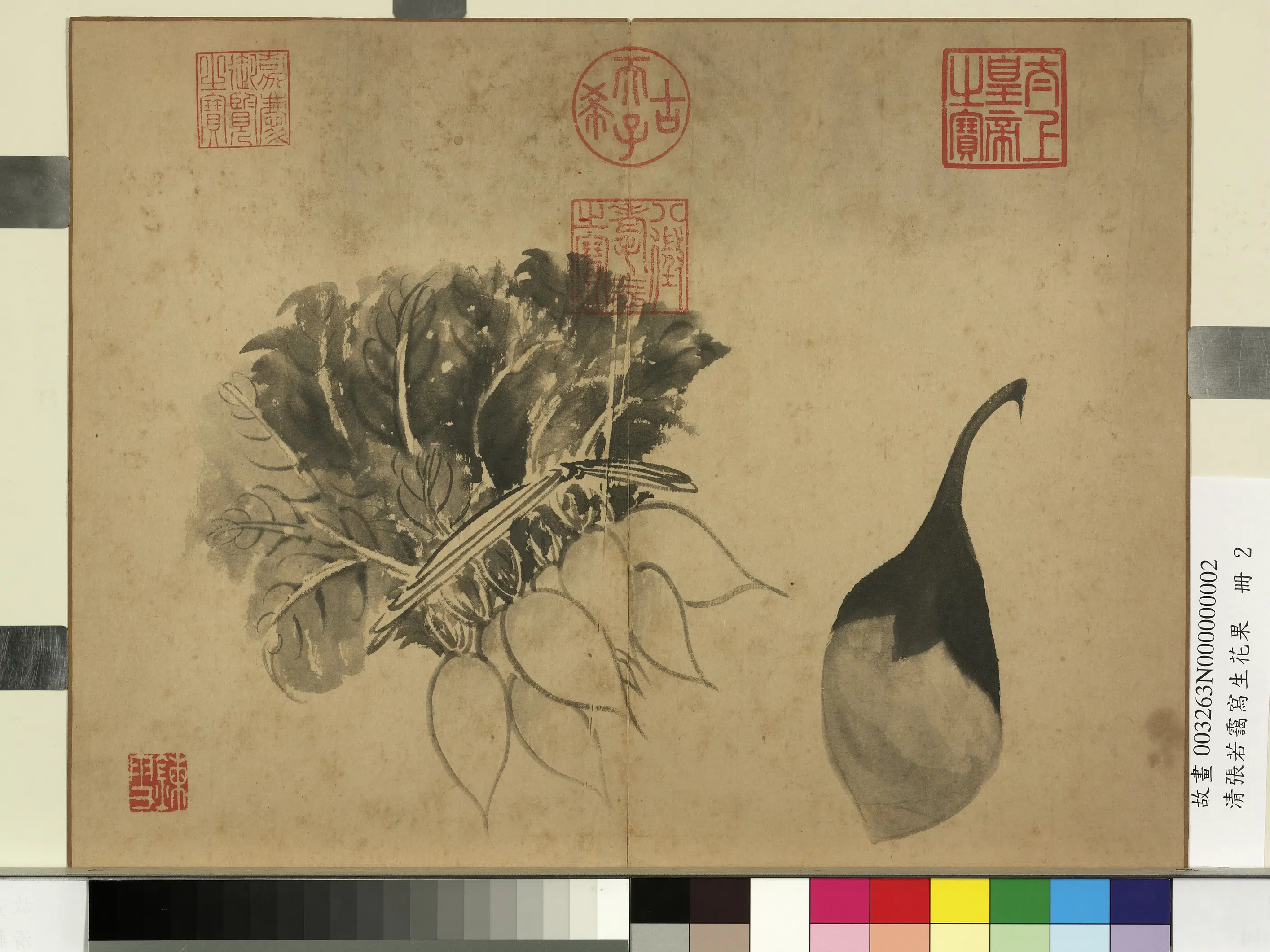 清代【张若霭】《写生花果册》 第10张