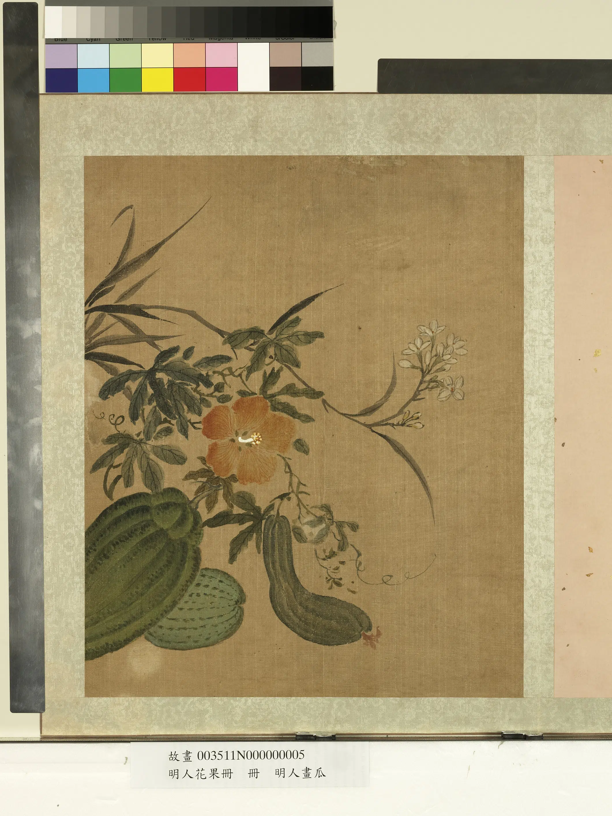 明朝《明人花果册-明人画瓜》