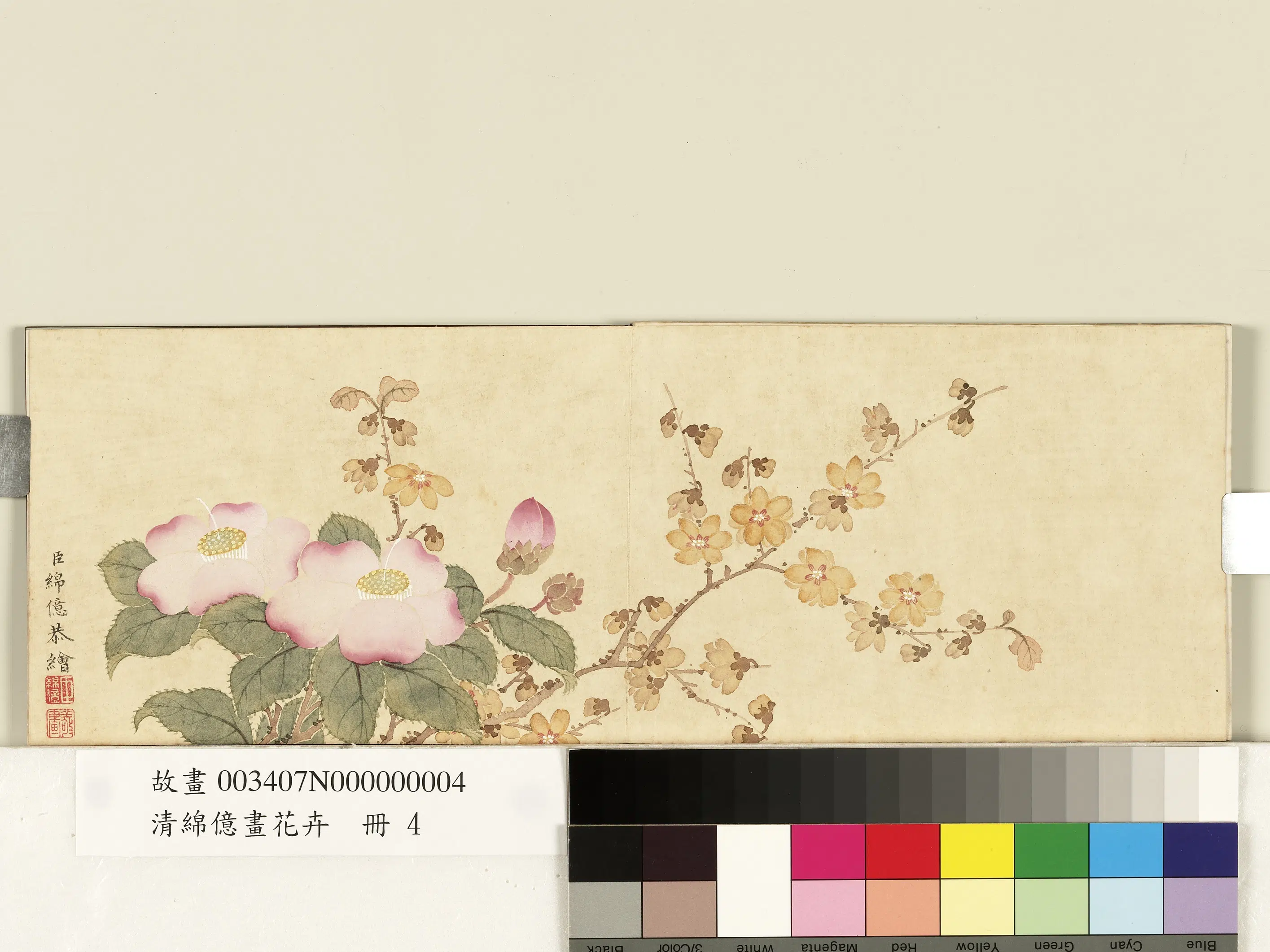 清代【爱新觉罗绵亿】《画花卉册-腊梅茶花》