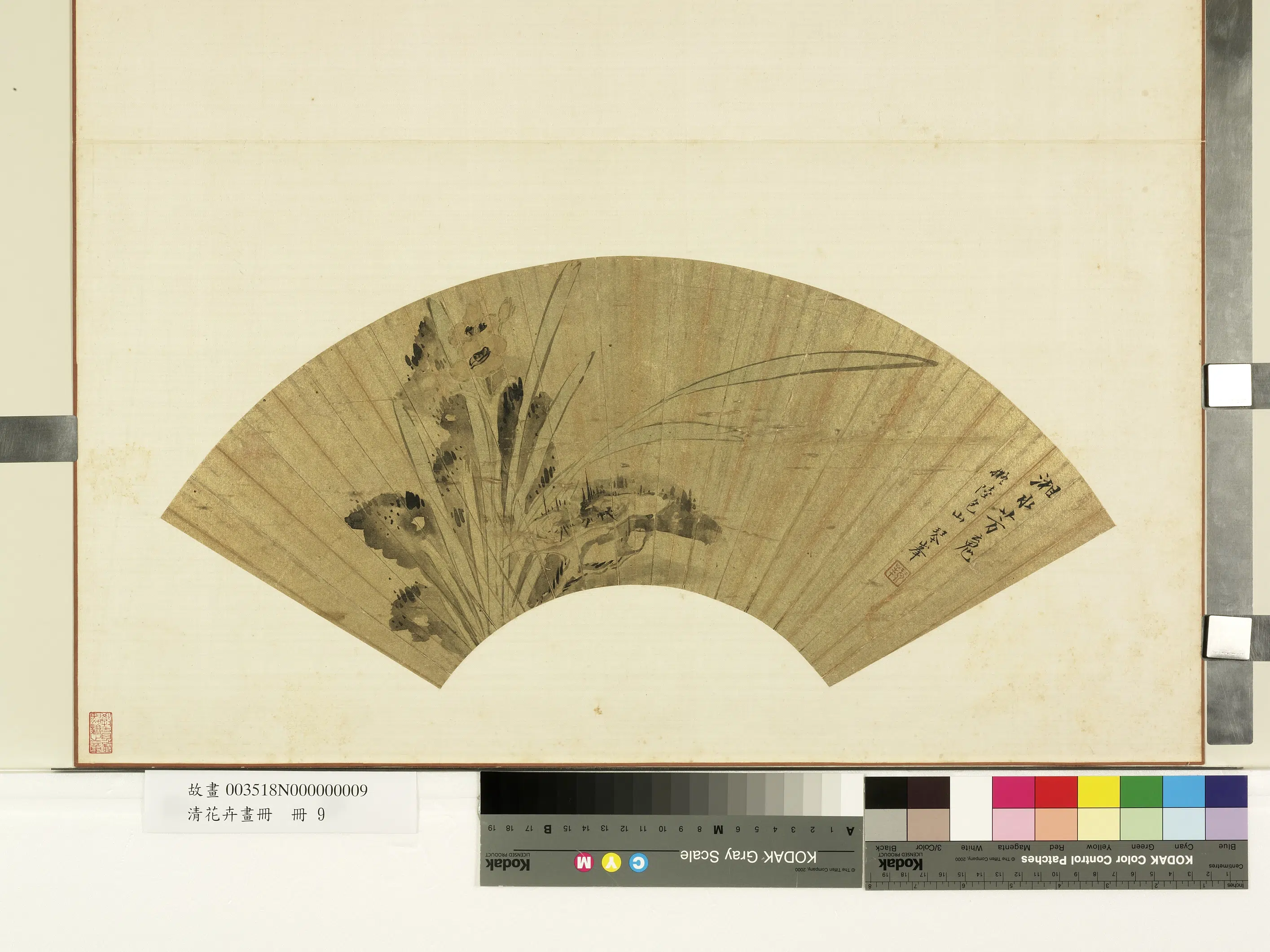 《花卉画册-4》 第12张