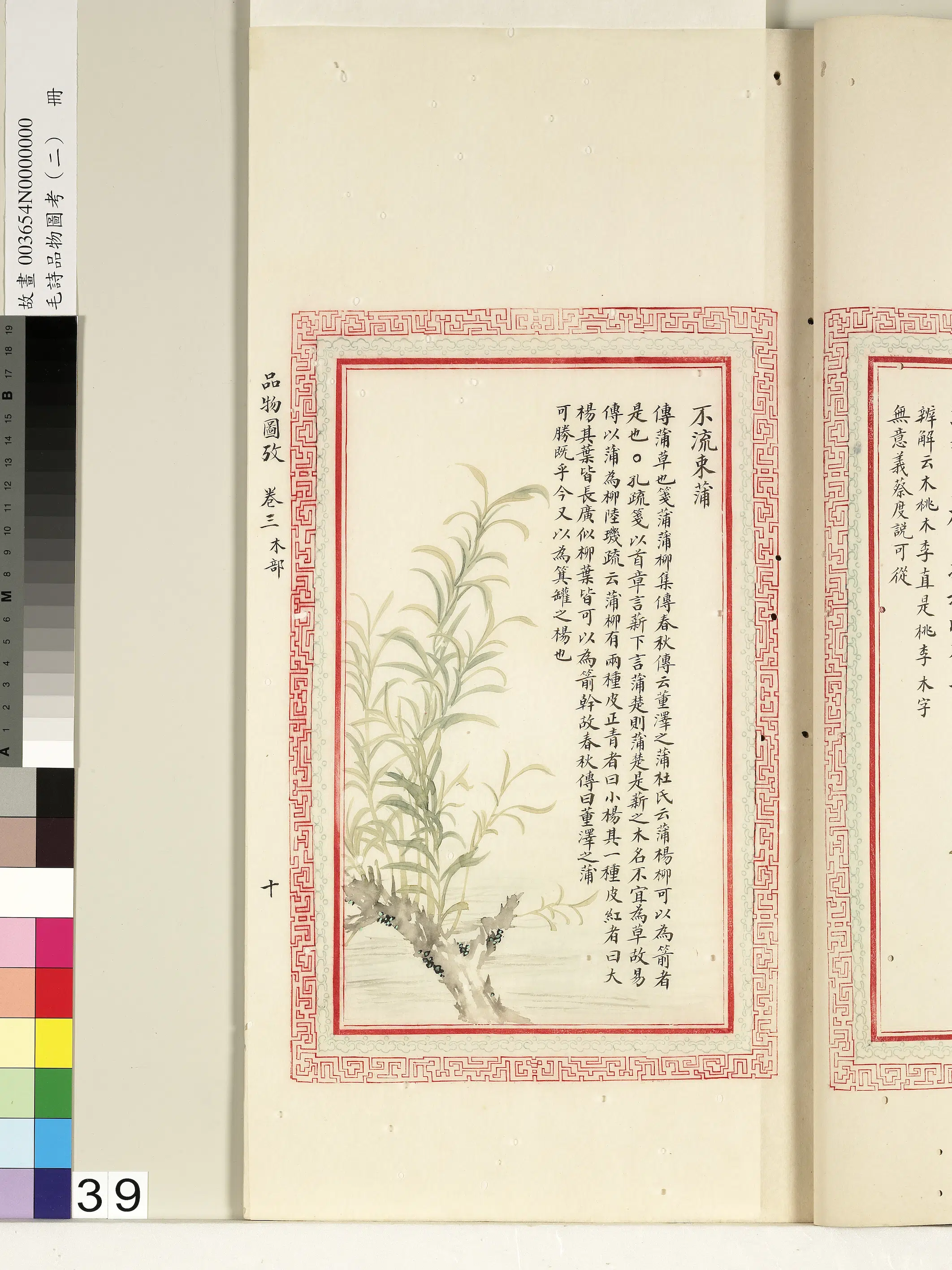 清朝【佚名】《毛诗品物图考（二）册-不流束蒲-1》