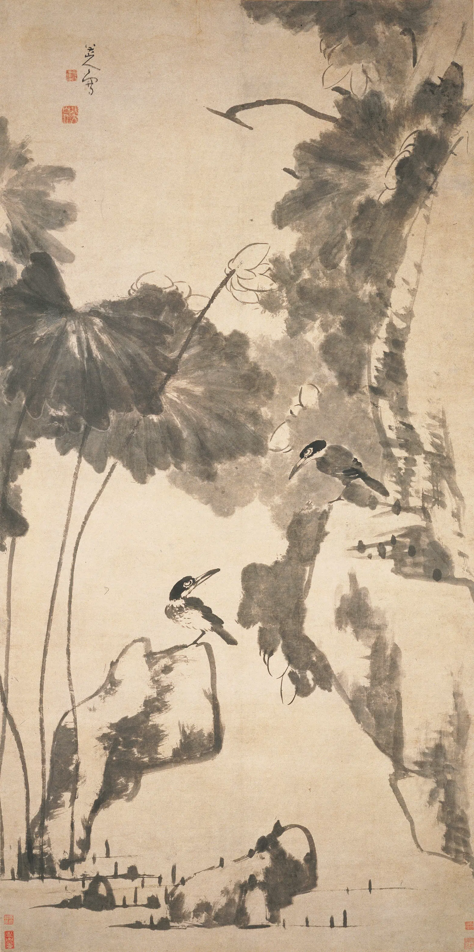 清代【朱耷】《荷花翠鸟图轴》