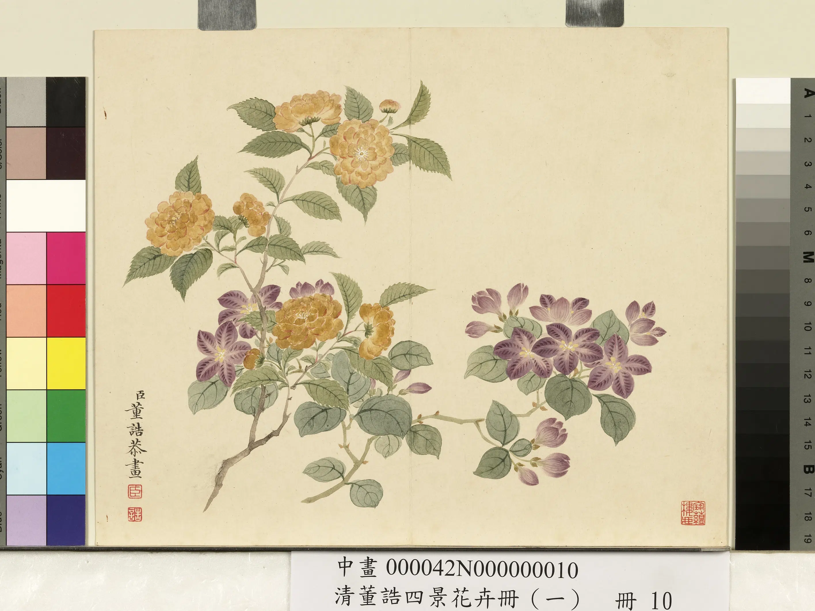 清代【董诰】《四景花卉(一)册-春景花卉之十》 第1张 清代【董诰】《四景花卉(一)册-春景花卉之十》 第1张