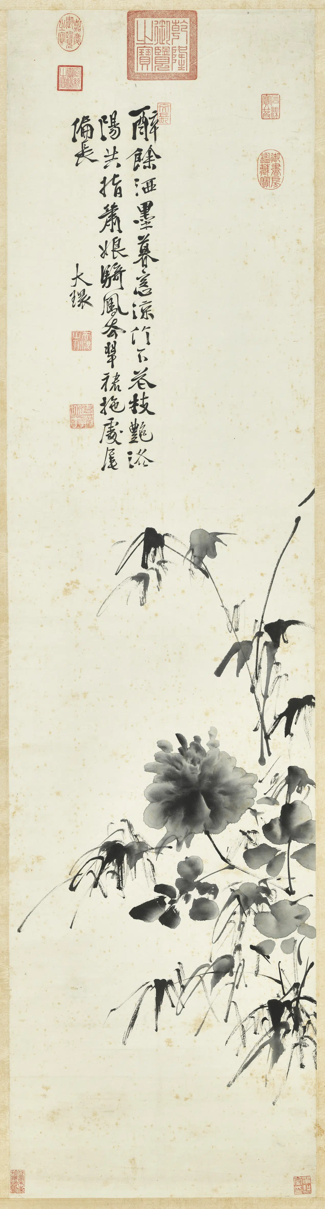 明朝【徐渭】《画牡丹图轴》