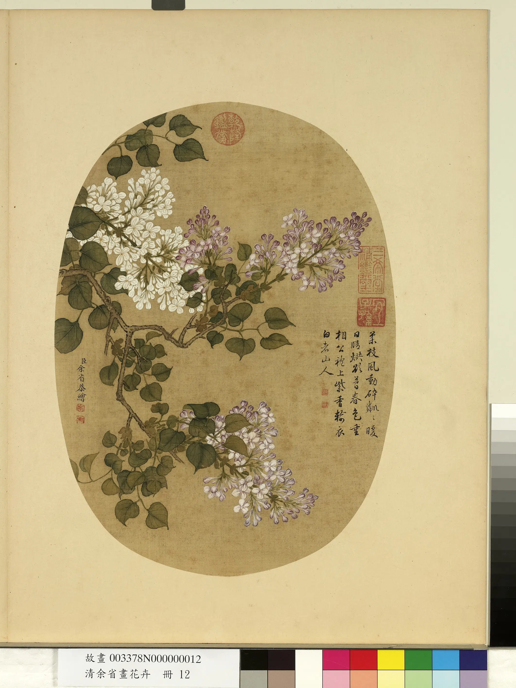 清代【余省】《画花卉册-紫白丁香》
