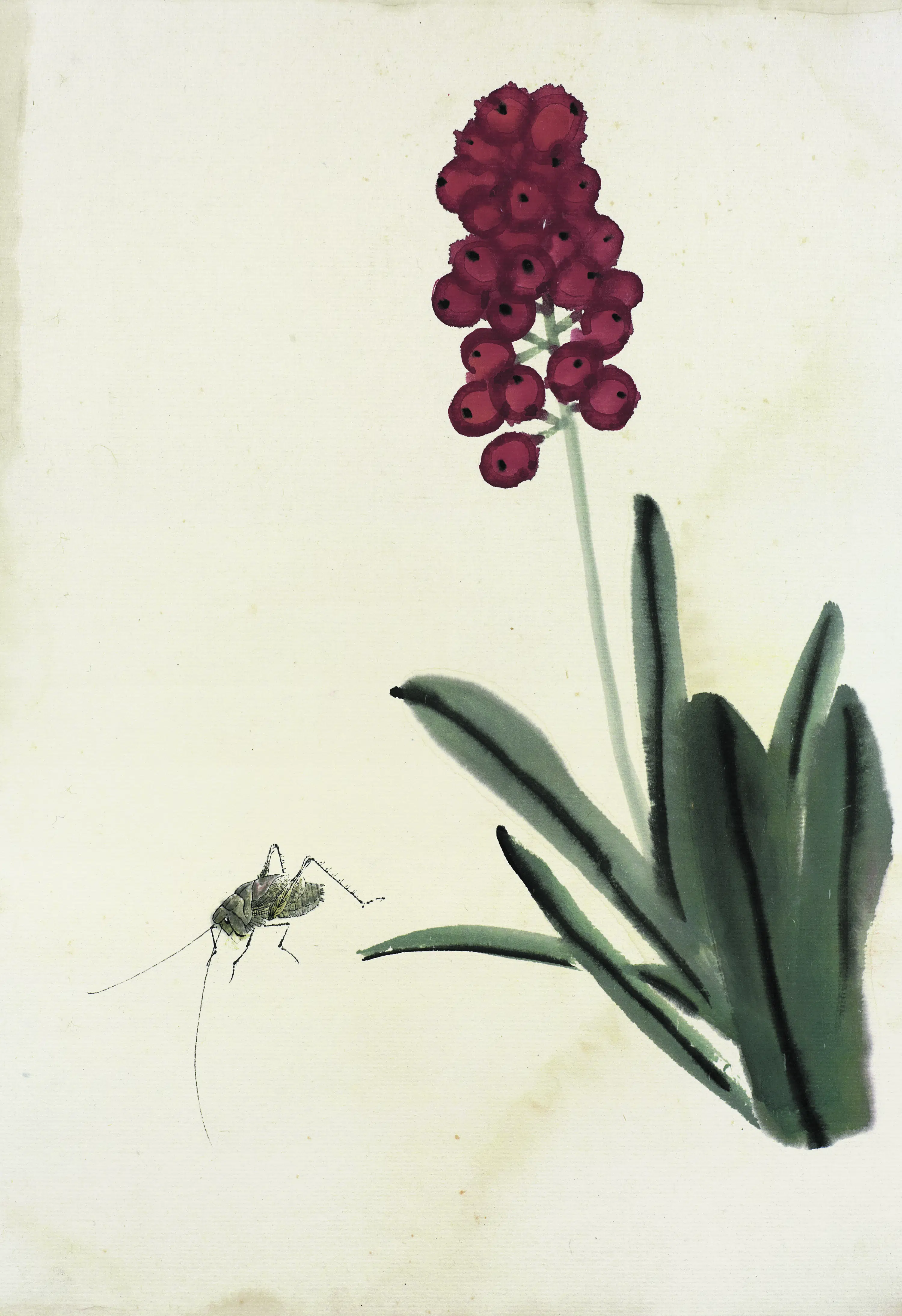 近现代【齐白石】《花卉虫草图册83开》 第62张 近现代【齐白石】《花卉虫草图册83开》 第62张