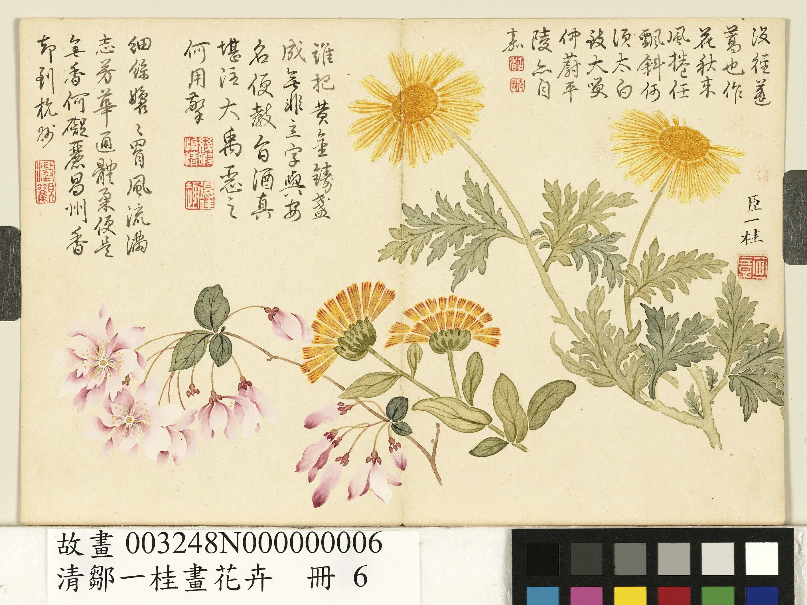 清代【邹一桂】《画花卉册-蓬蒿金盏》