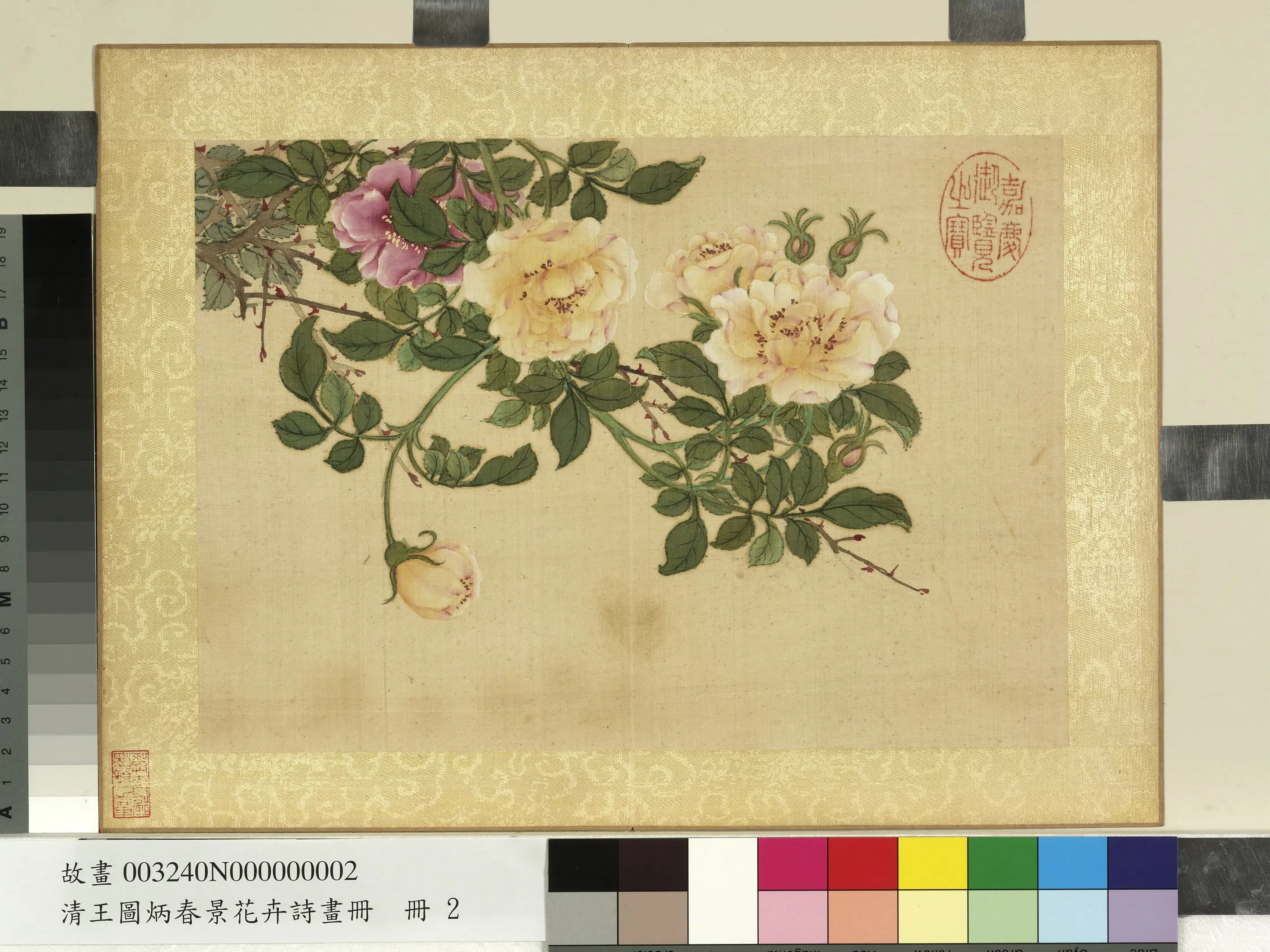 清代【王图炳】《春景花卉诗画册-蔷薇》