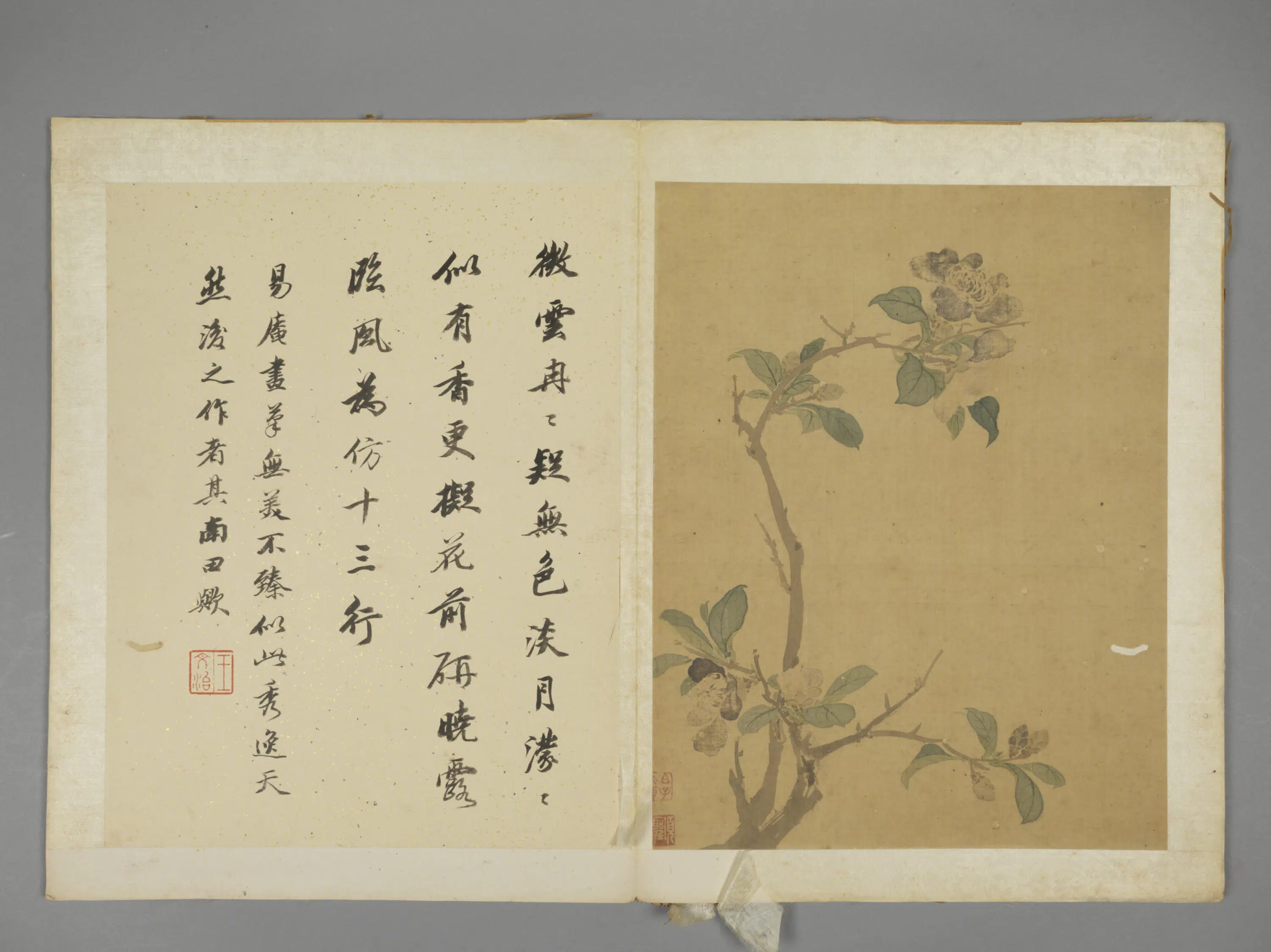 明朝【项圣谟】《花卉册（7开）》 第4张
