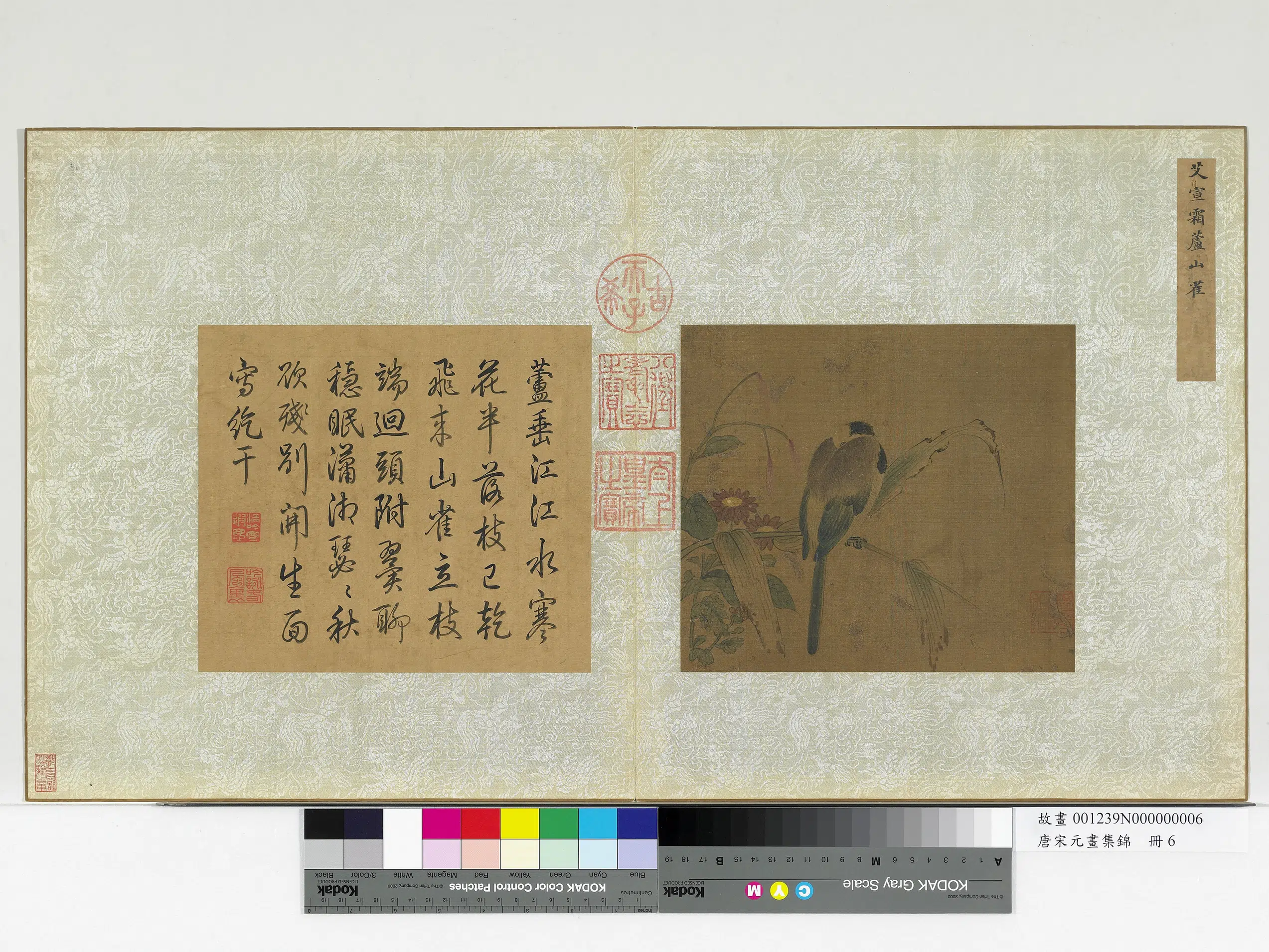 南宋【艾宣】《唐宋元画集锦册-霜芦山雀》