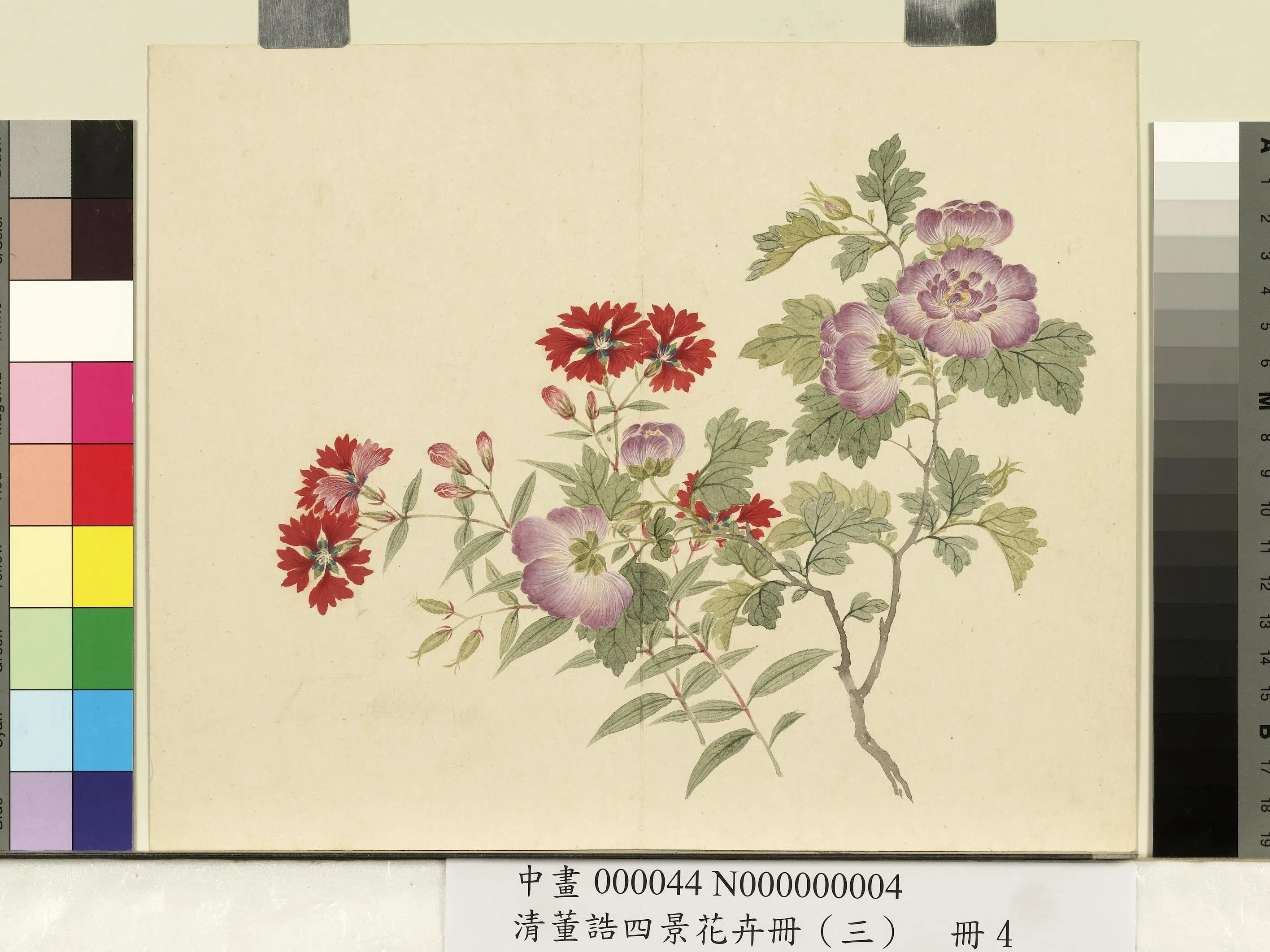 清代【董诰】《四景花卉（三）册》 第10张