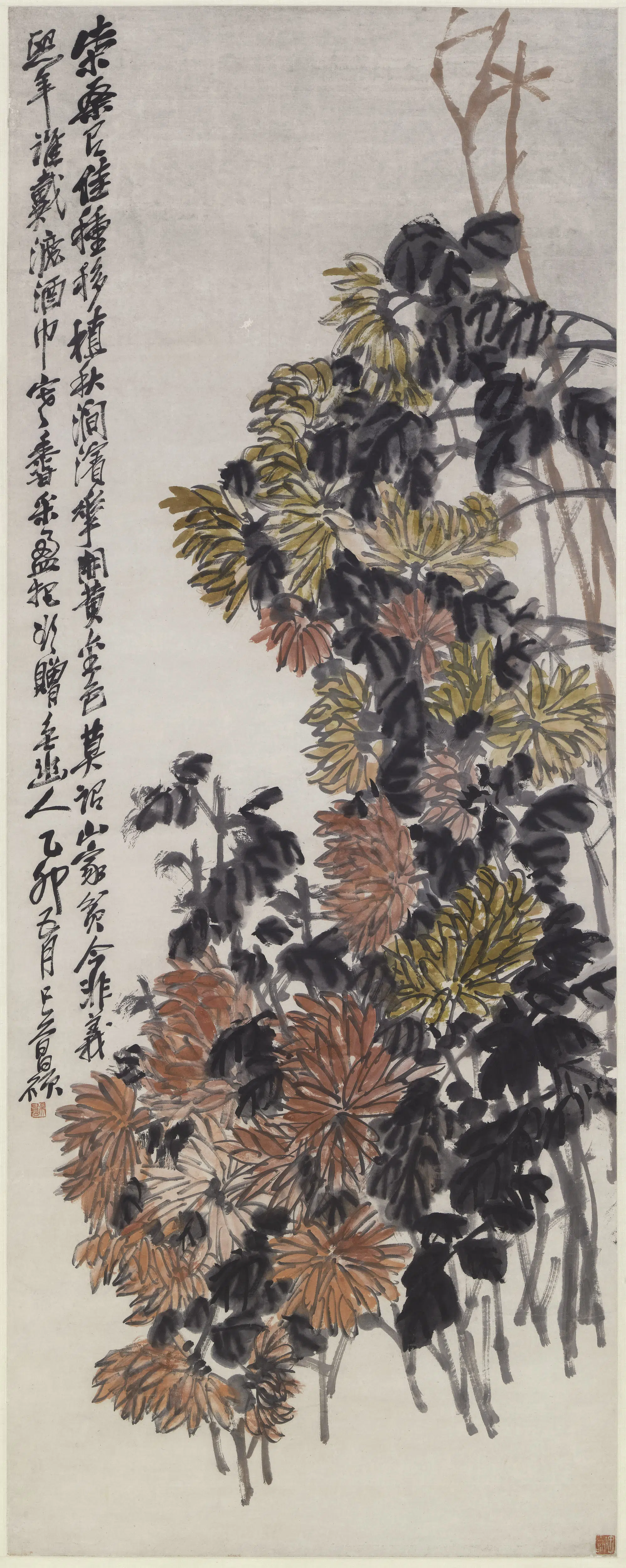 清代【吴昌硕】《菊花图轴-3》