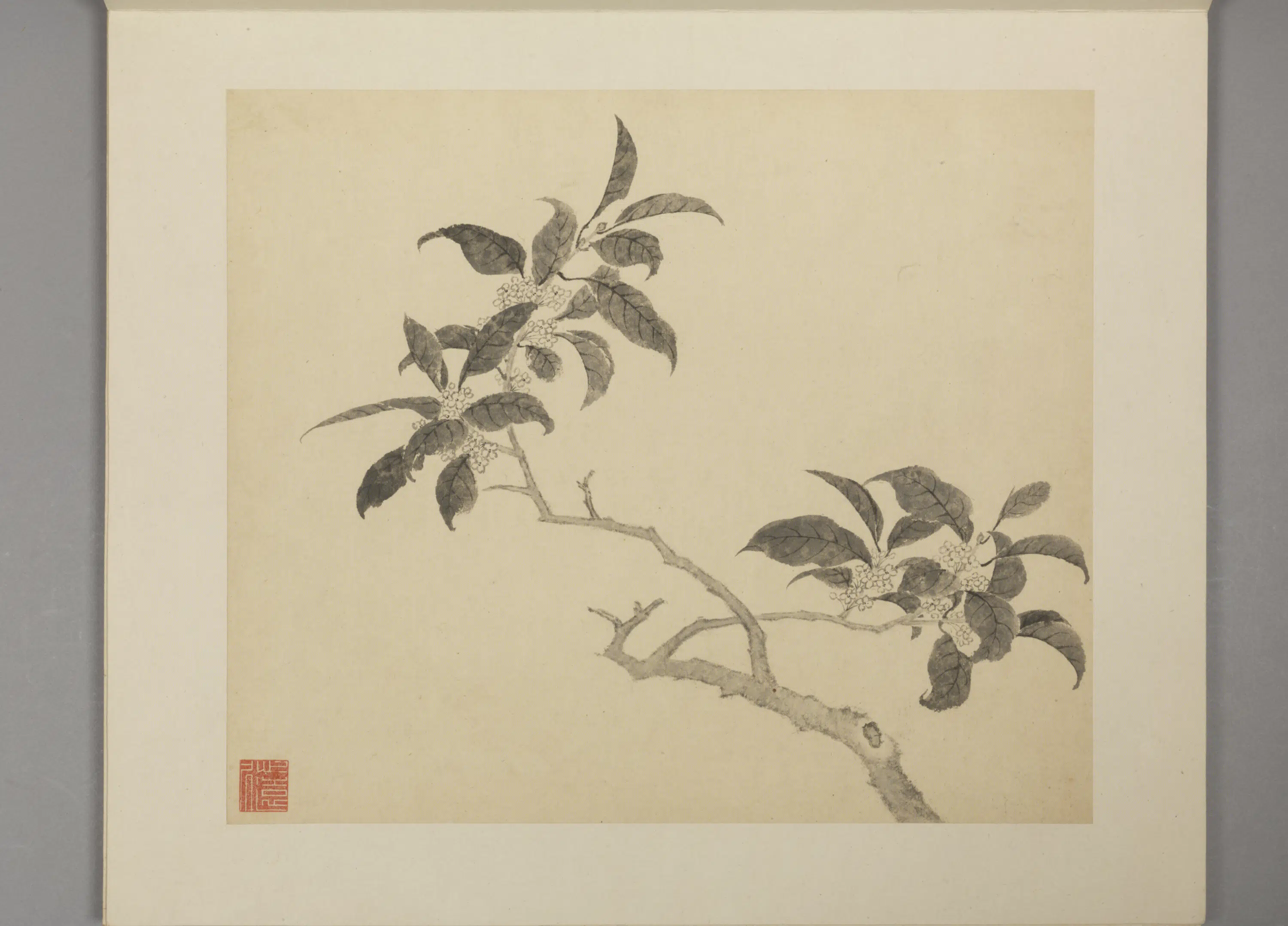 明朝【凌必正】《花鸟册》 第3张