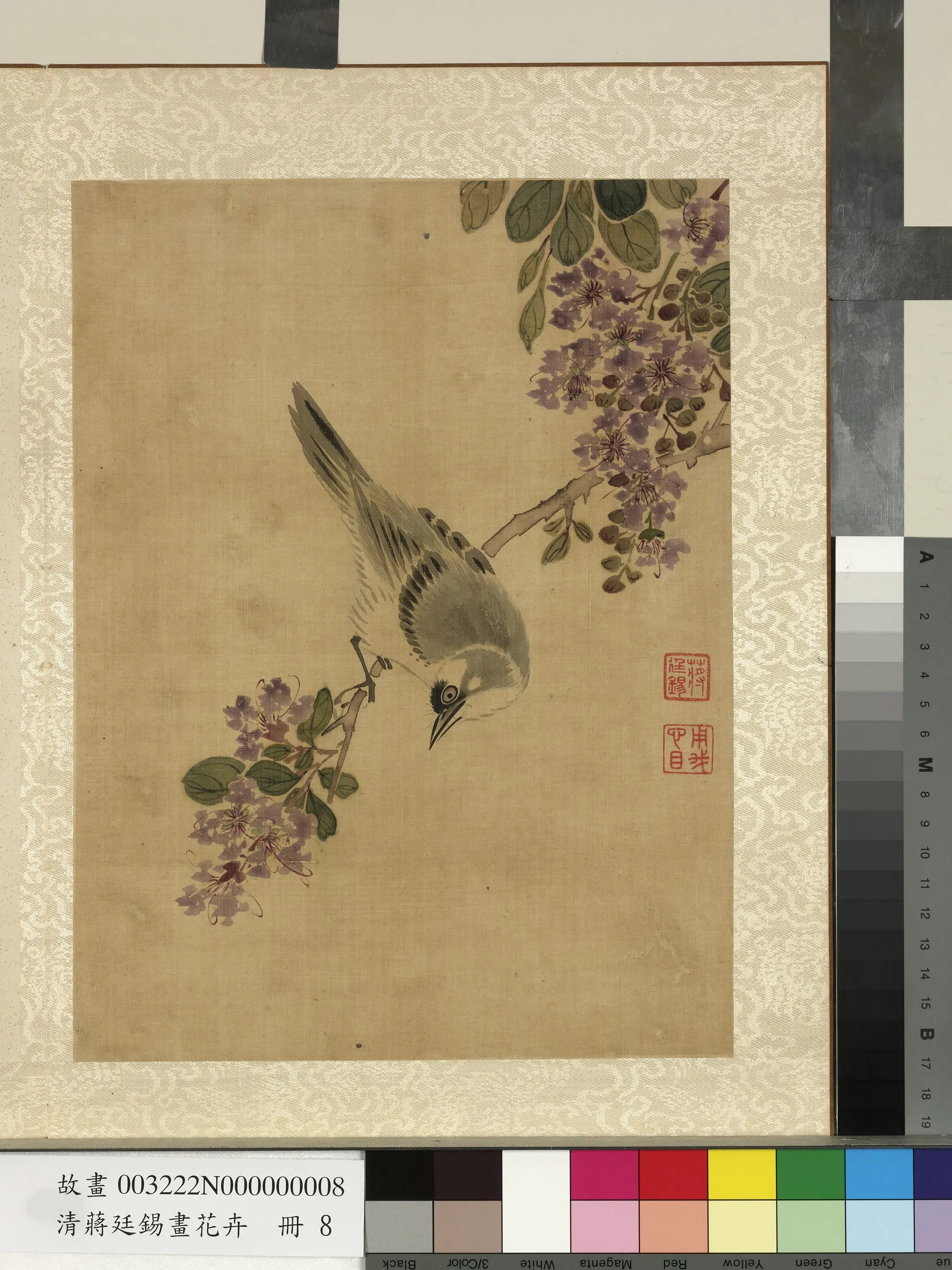 清代【蒋廷锡】《画花卉册》 第8张