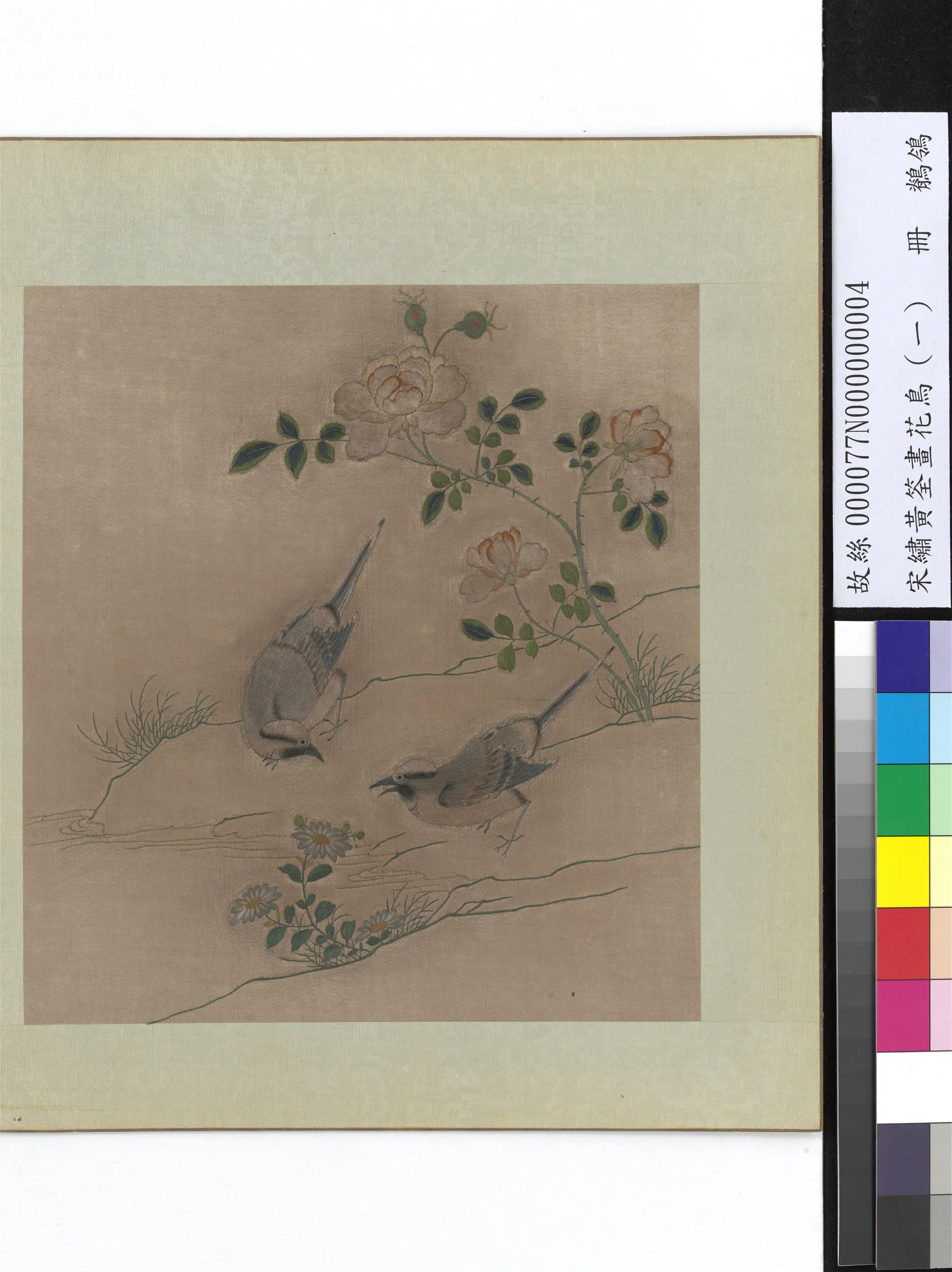 五代十国前后蜀【黄筌（荃）】《绣黄筌画花鸟（一）册-鹡鸰》