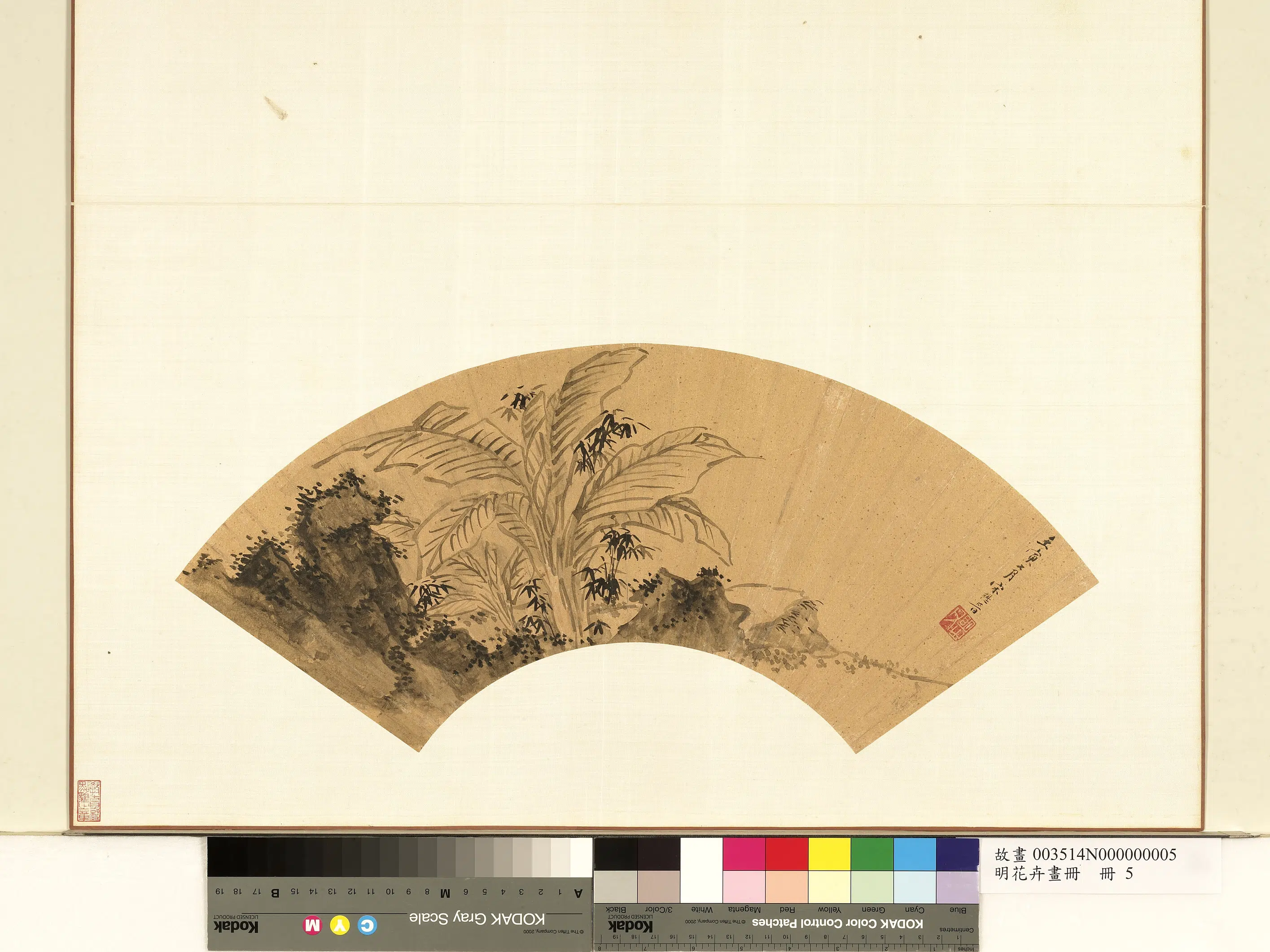 明朝《明花卉画册》 第5张