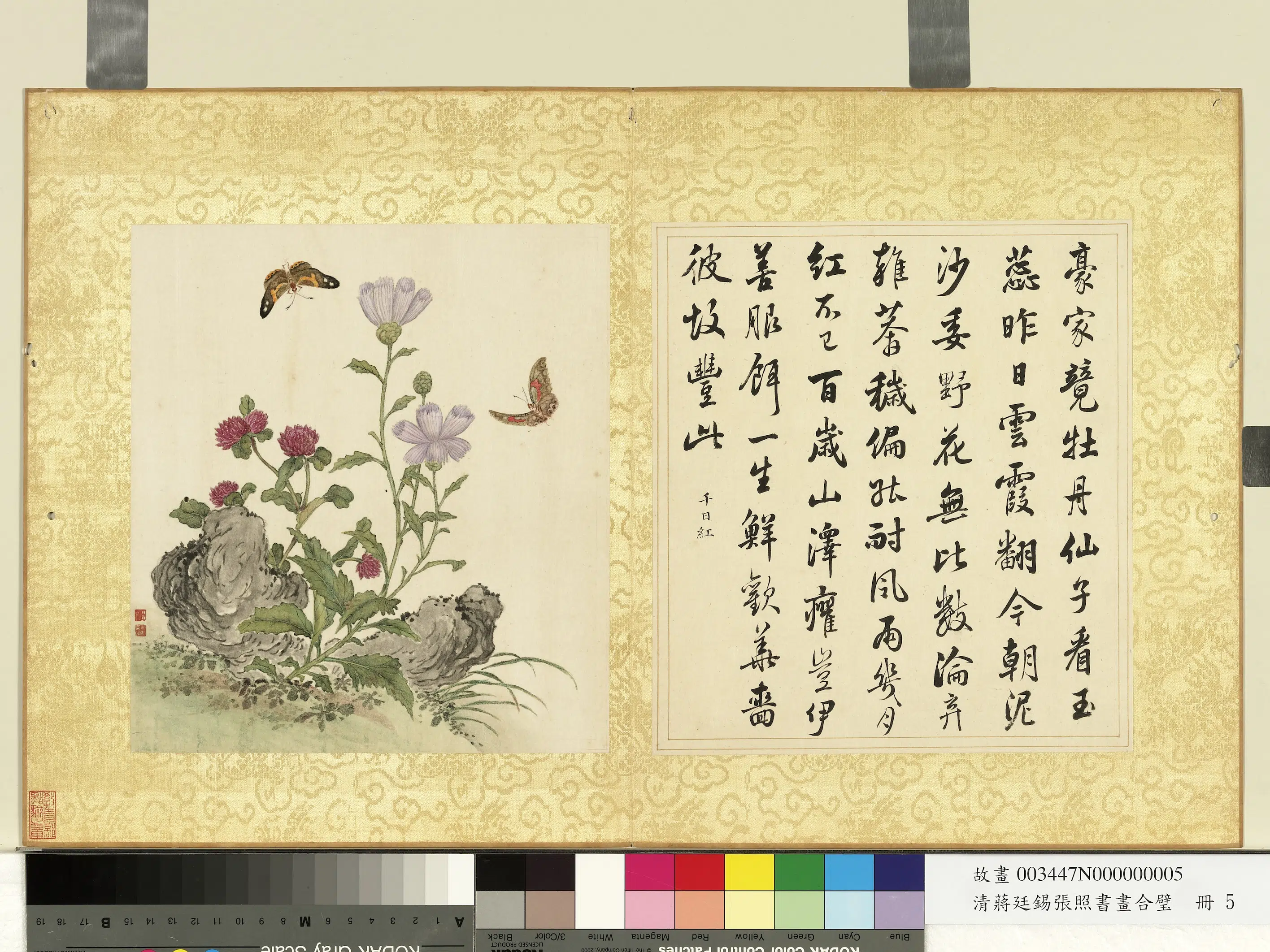 清代【张照蒋廷锡】《蒋廷锡张照书画合璧册-玉蕊云霞》