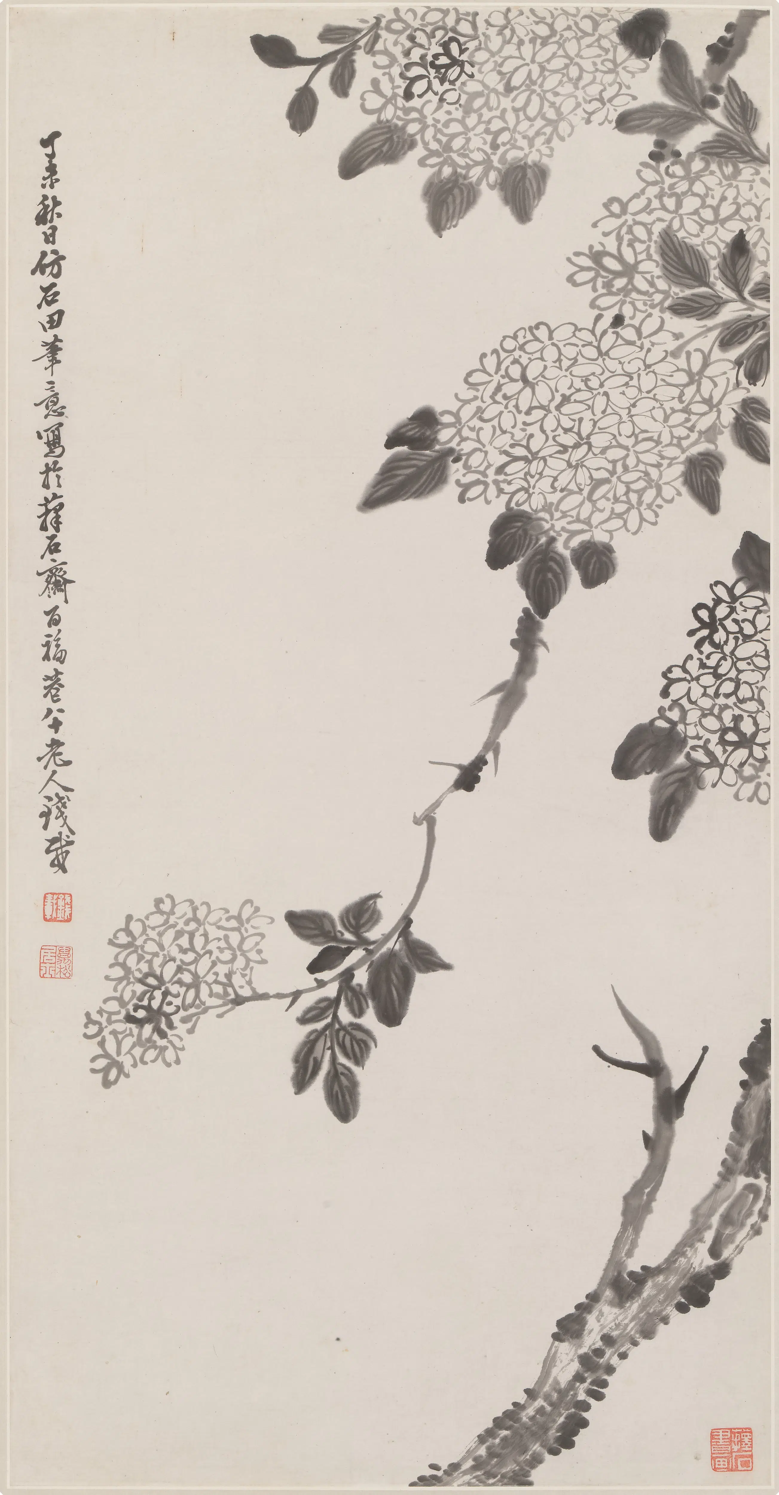 清代【钱载】《绣球花轴》