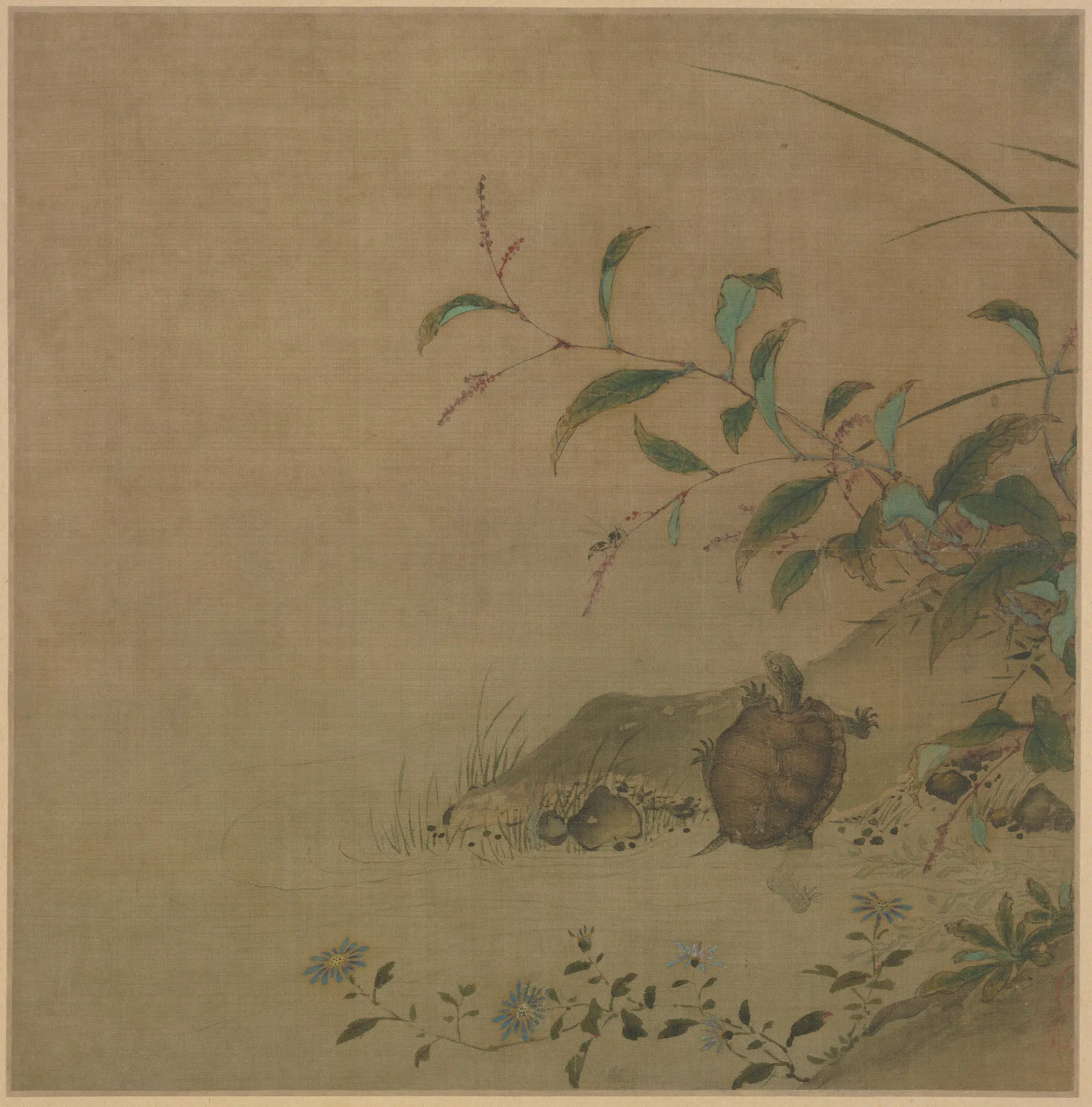 宋代【佚名】《蓼龟图页》