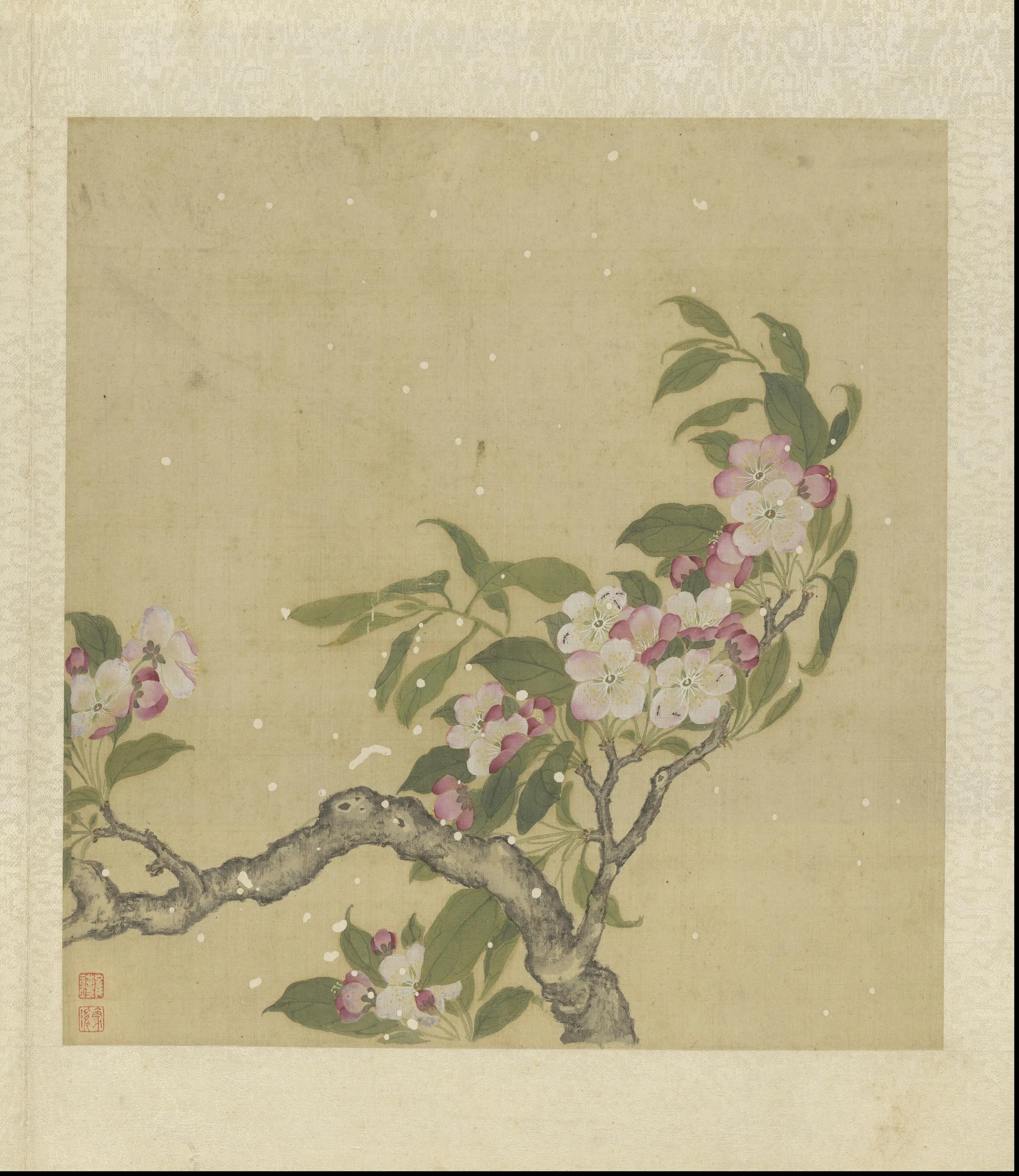 清代【崔鏏】《花卉草虫图册》 第17张