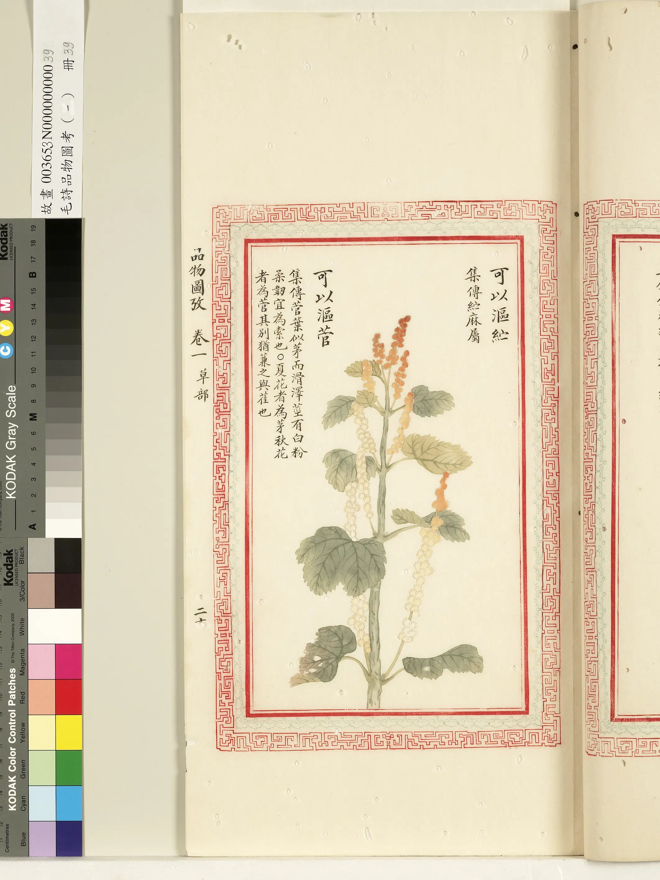 清代《毛诗品物图考(一)册-1》 第16张 清代《毛诗品物图考(一)册-1》 第16张