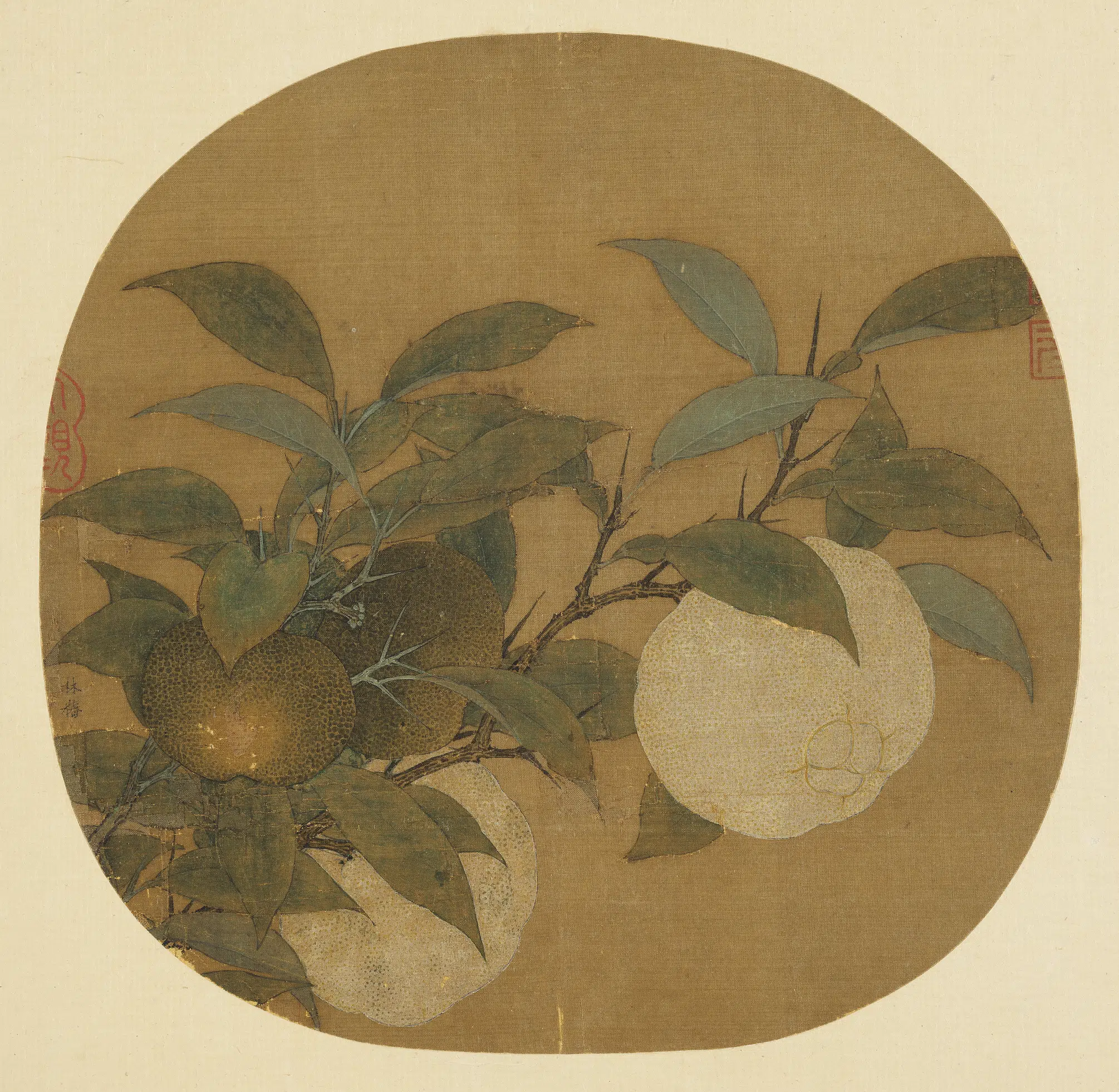 南宋【林椿】《橙黄橘绿图_纨扇画册》