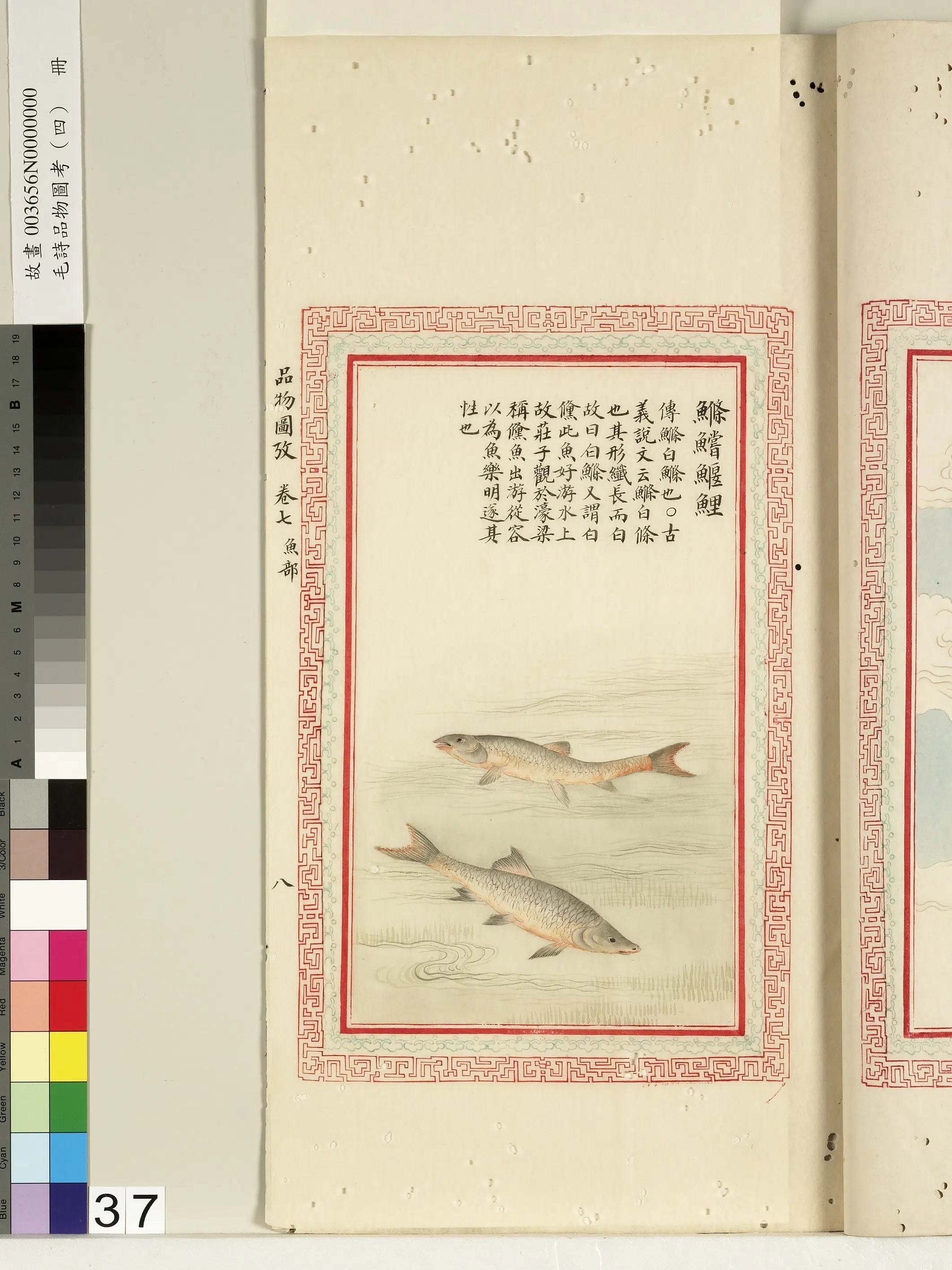 清朝【佚名】《毛诗品物图考（四）册-鲦鲿鰋鲤-1》