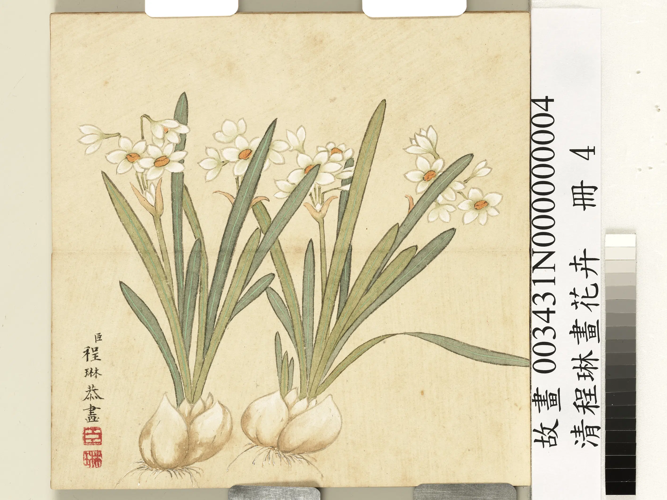 清代【程琳】《画花卉册》 第1张