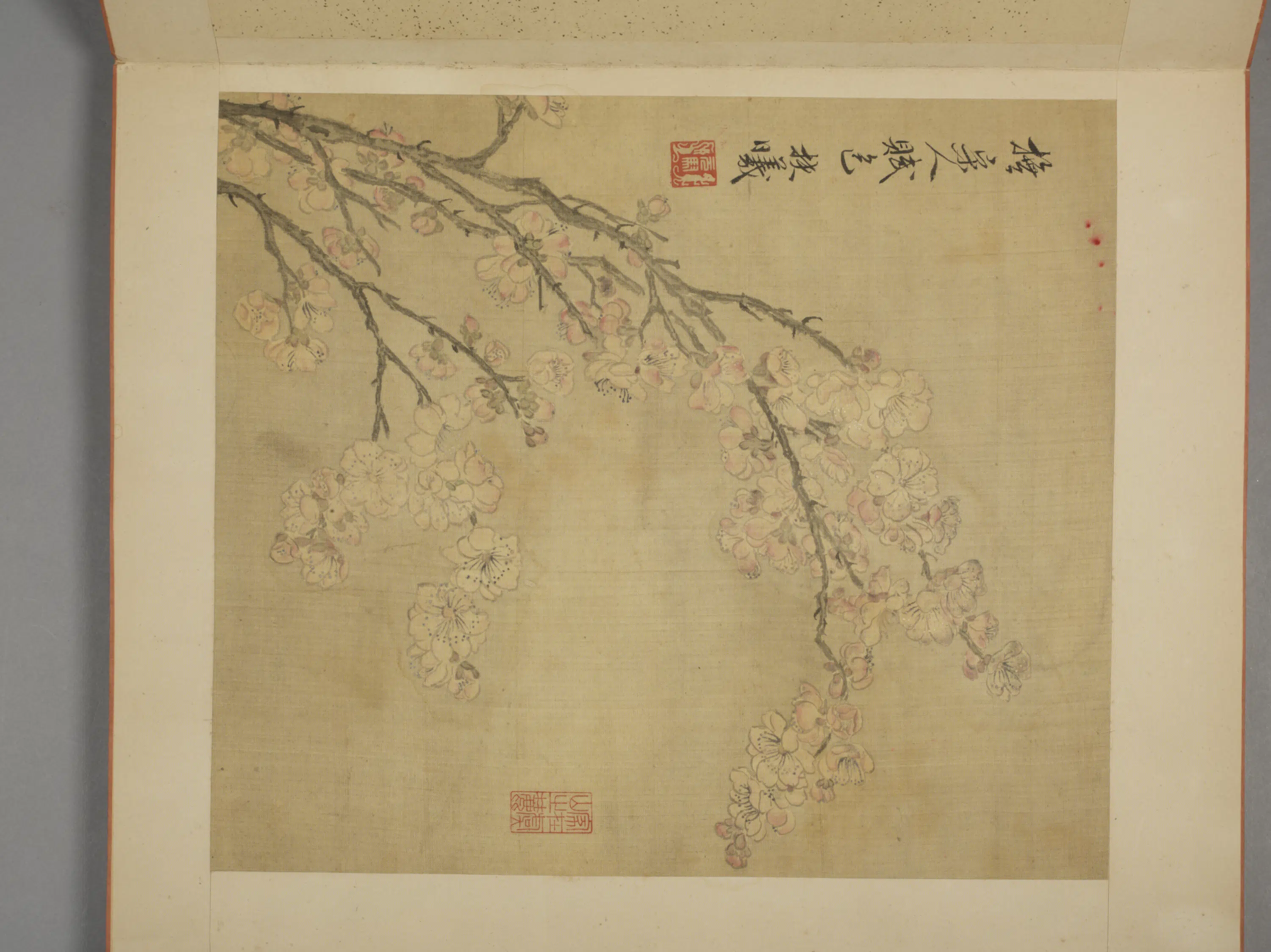 清代【马元驭】《花卉册》 第8张