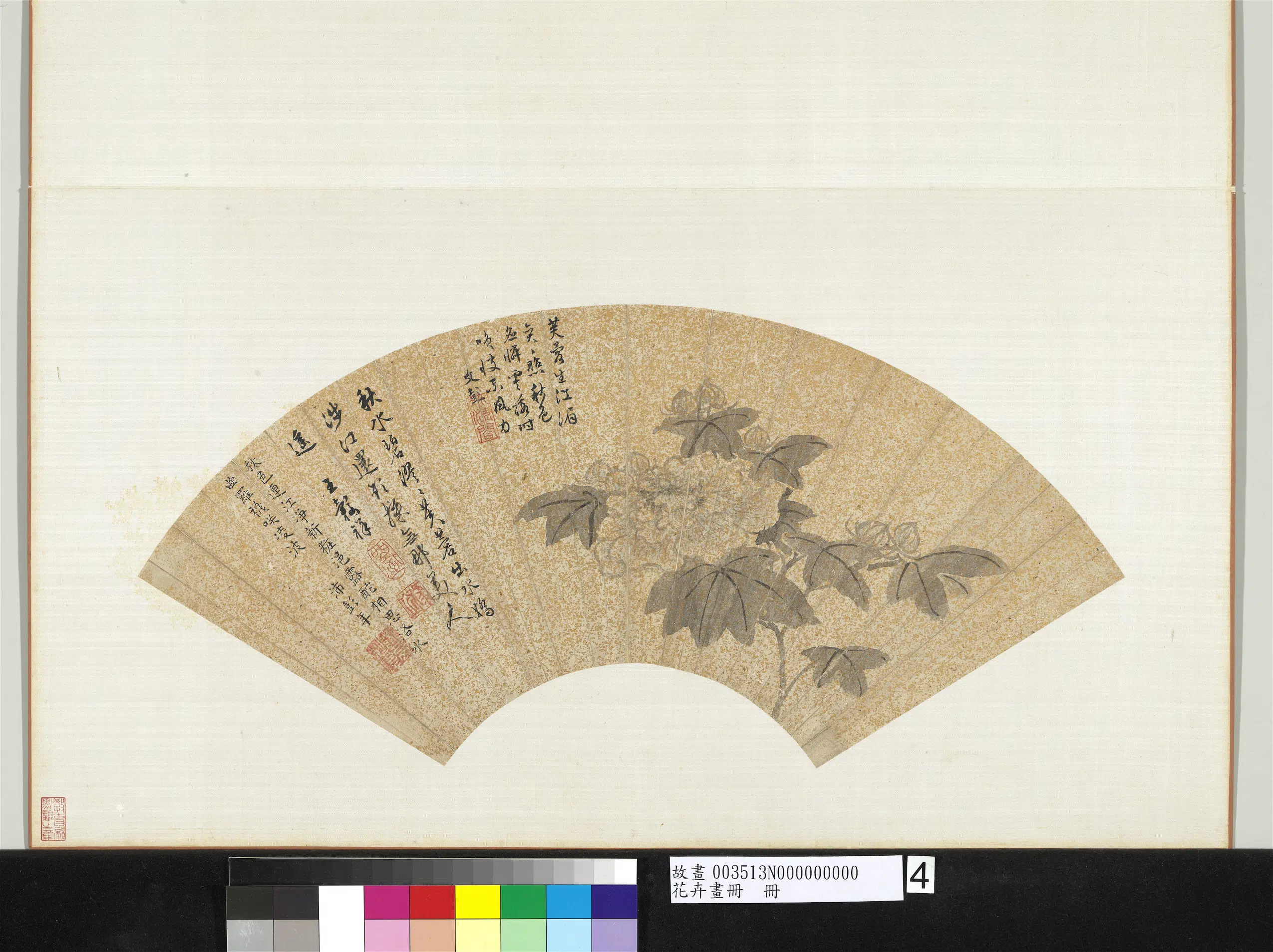 明朝【王谷祥（王穀祥）】《花卉画册-芙蓉》
