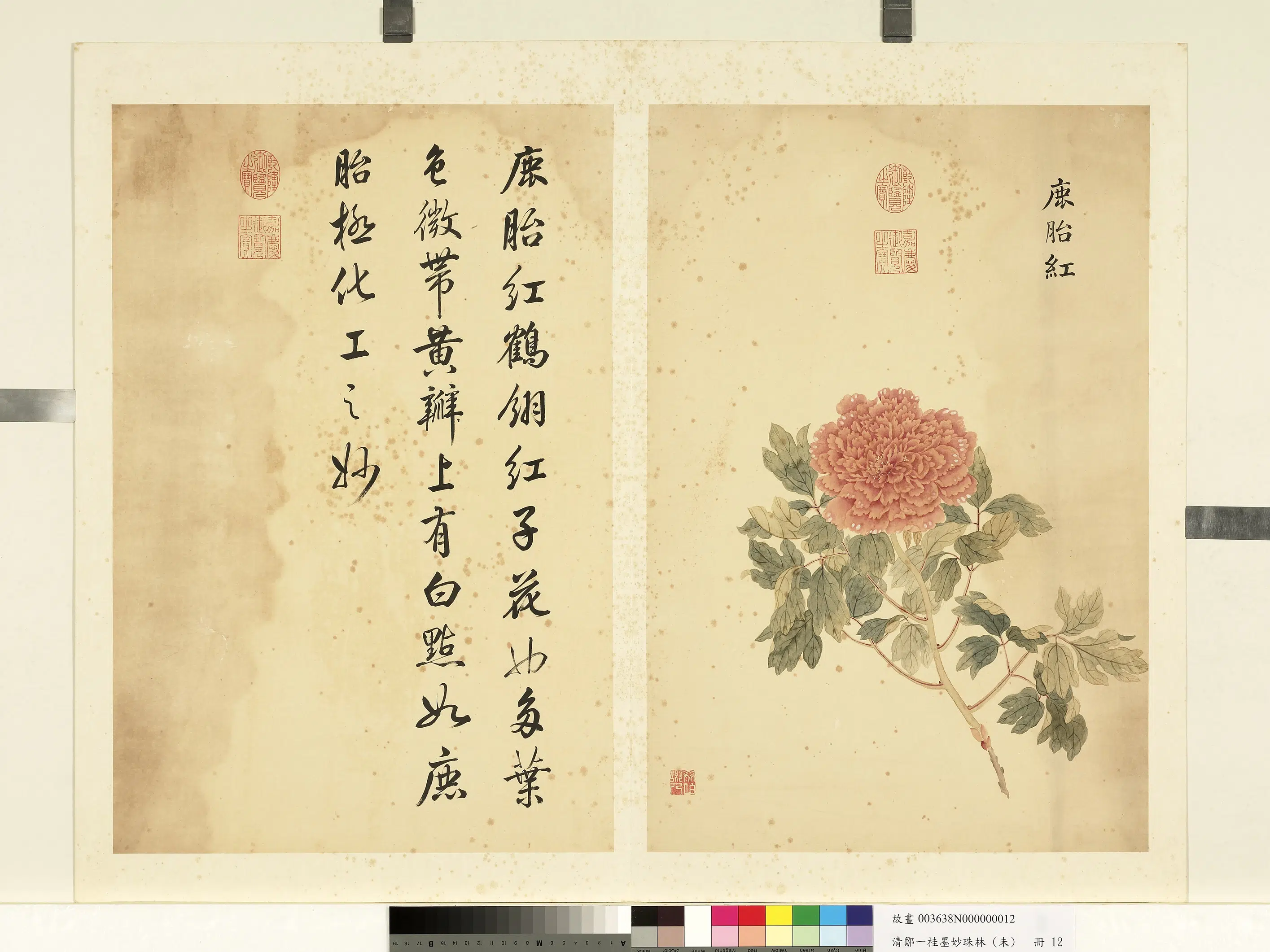 清代【邹一桂】《墨妙珠林（未）册-鹿胎红》