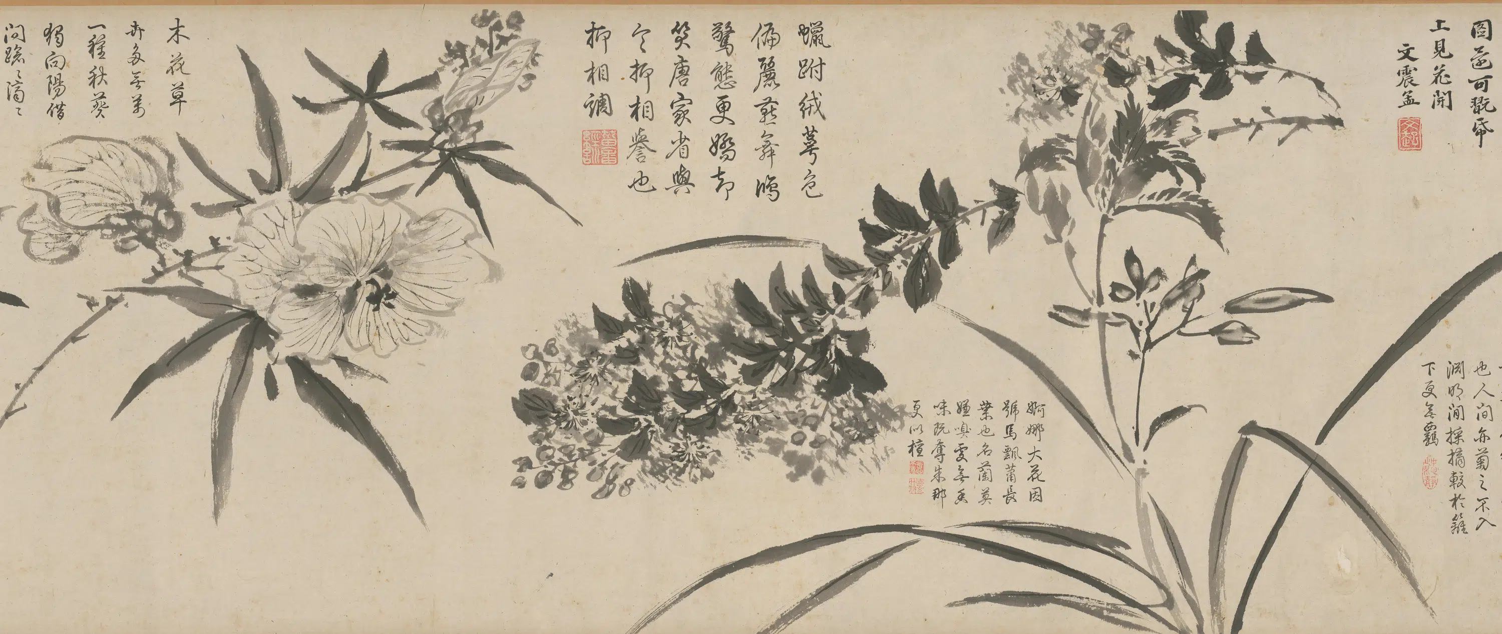 明朝【周之冕】《百花图卷》 第19张 明朝【周之冕】《百花图卷》 第19张
