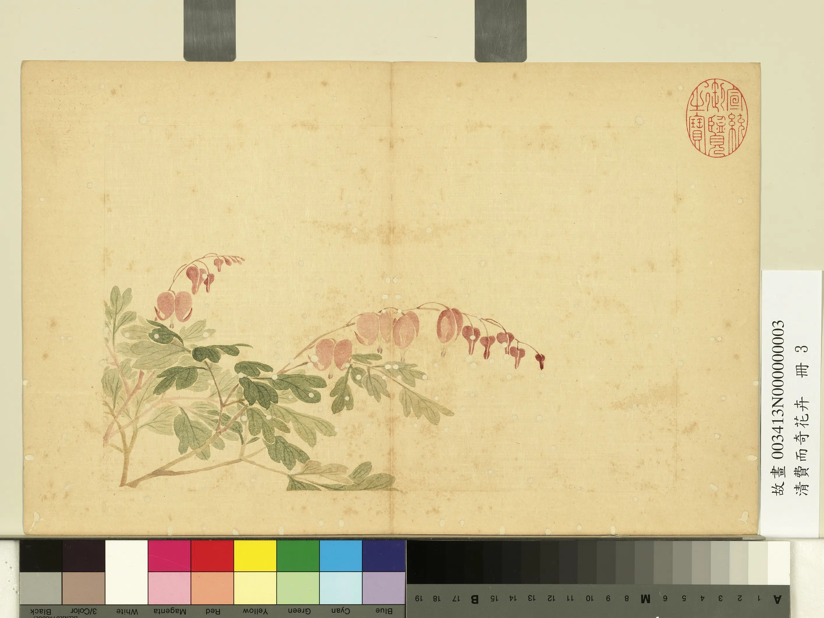 清代【费而奇】《花卉册-鱼儿牡丹》