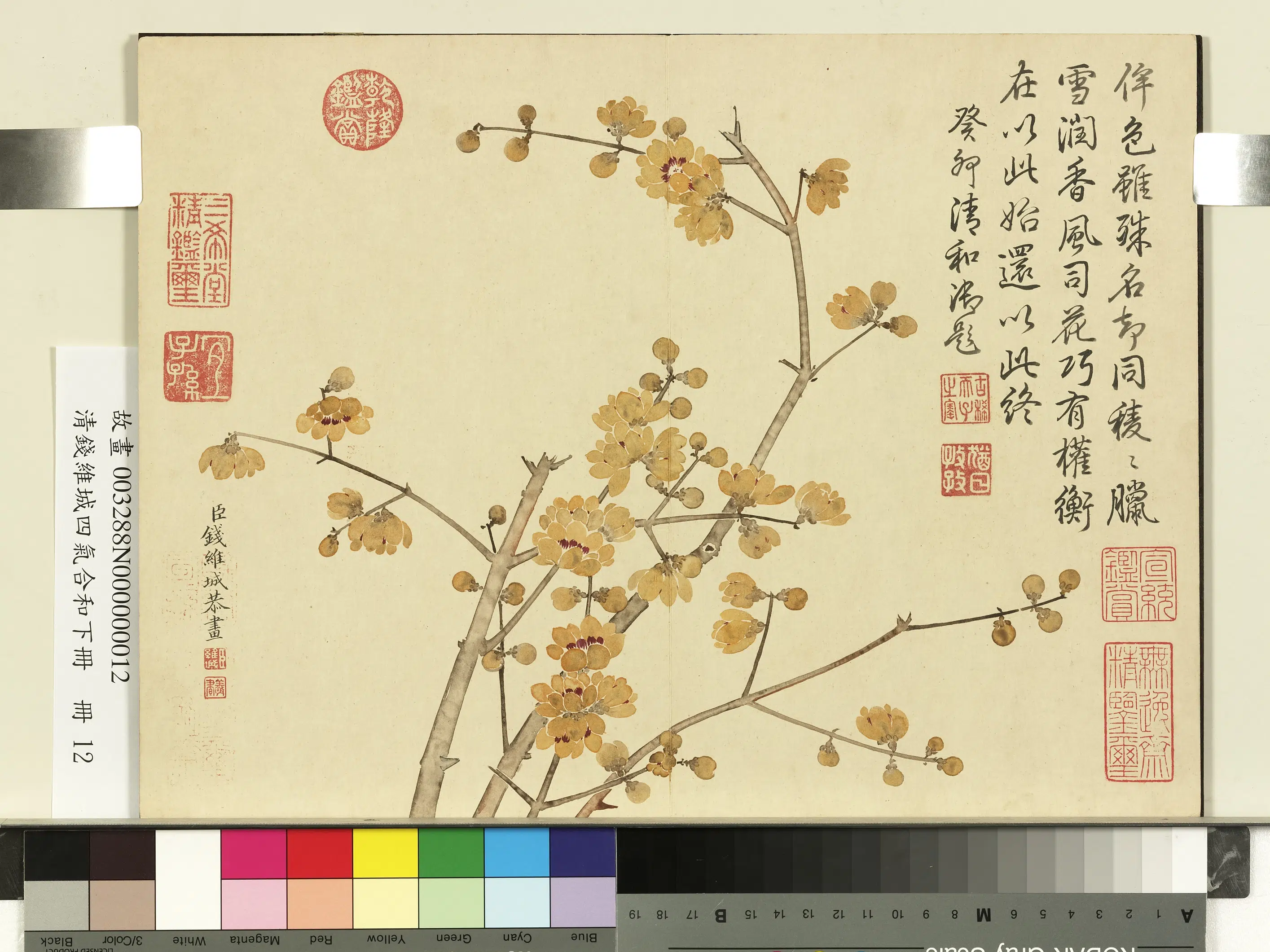 清代【钱维城】《画四气含和下册-蜡梅》