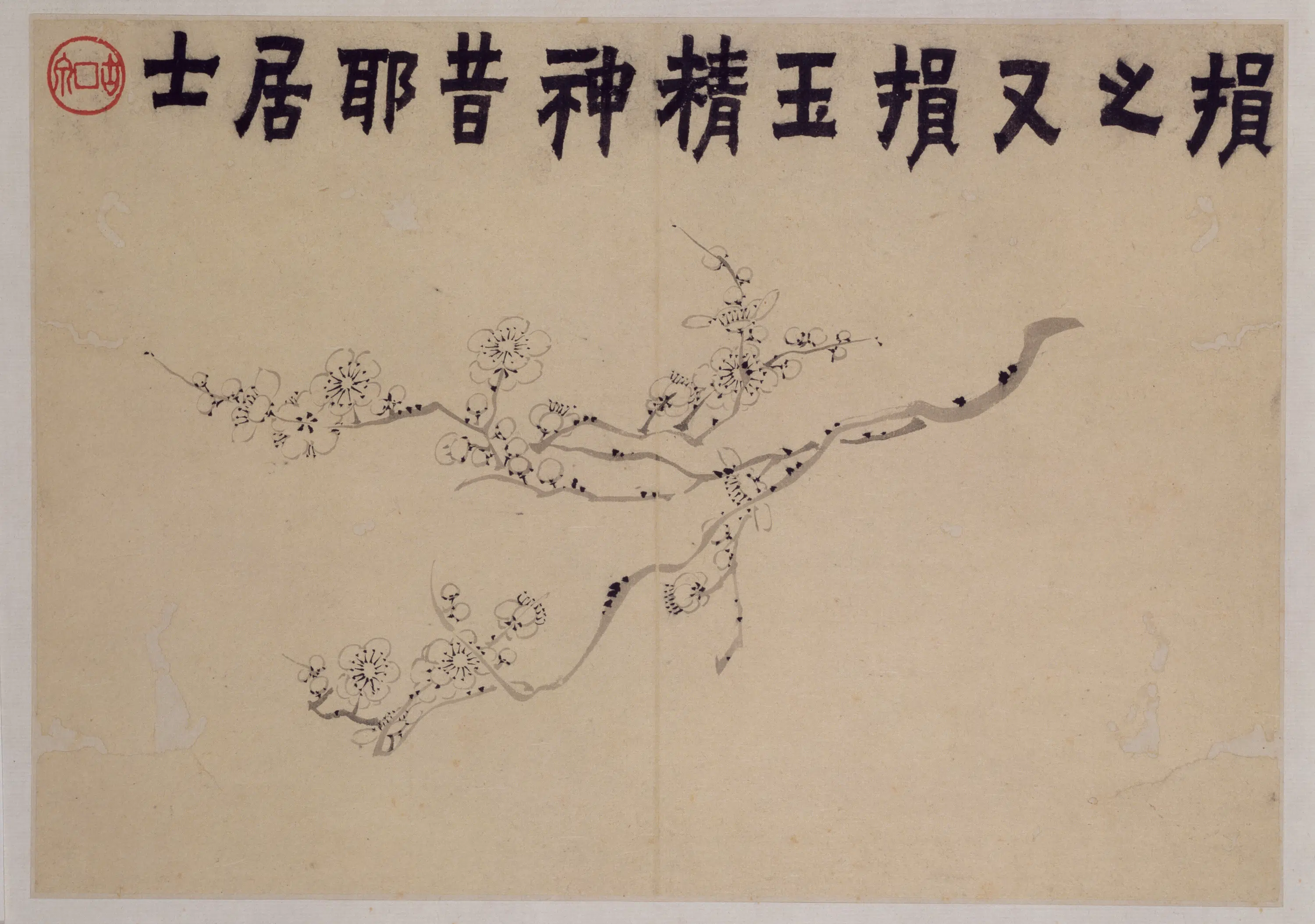清代【金农】《梅花册》