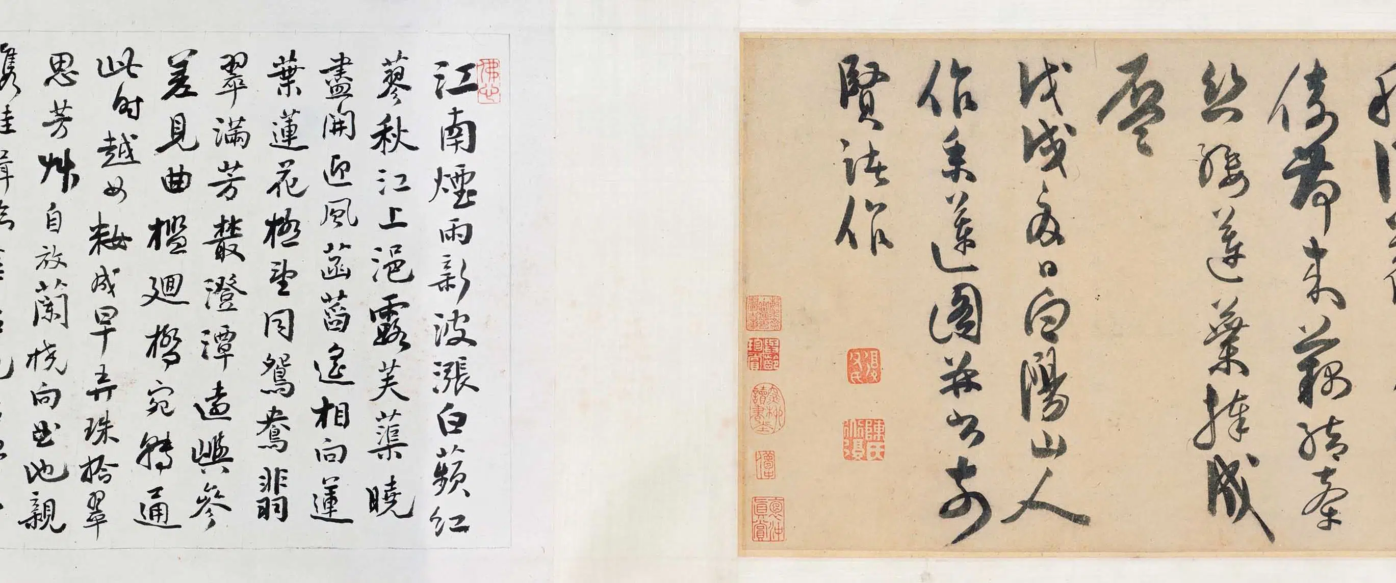 明朝【陈淳(道复)】《采莲图卷》 第9张 明朝【陈淳(道复)】《采莲图卷》 第9张