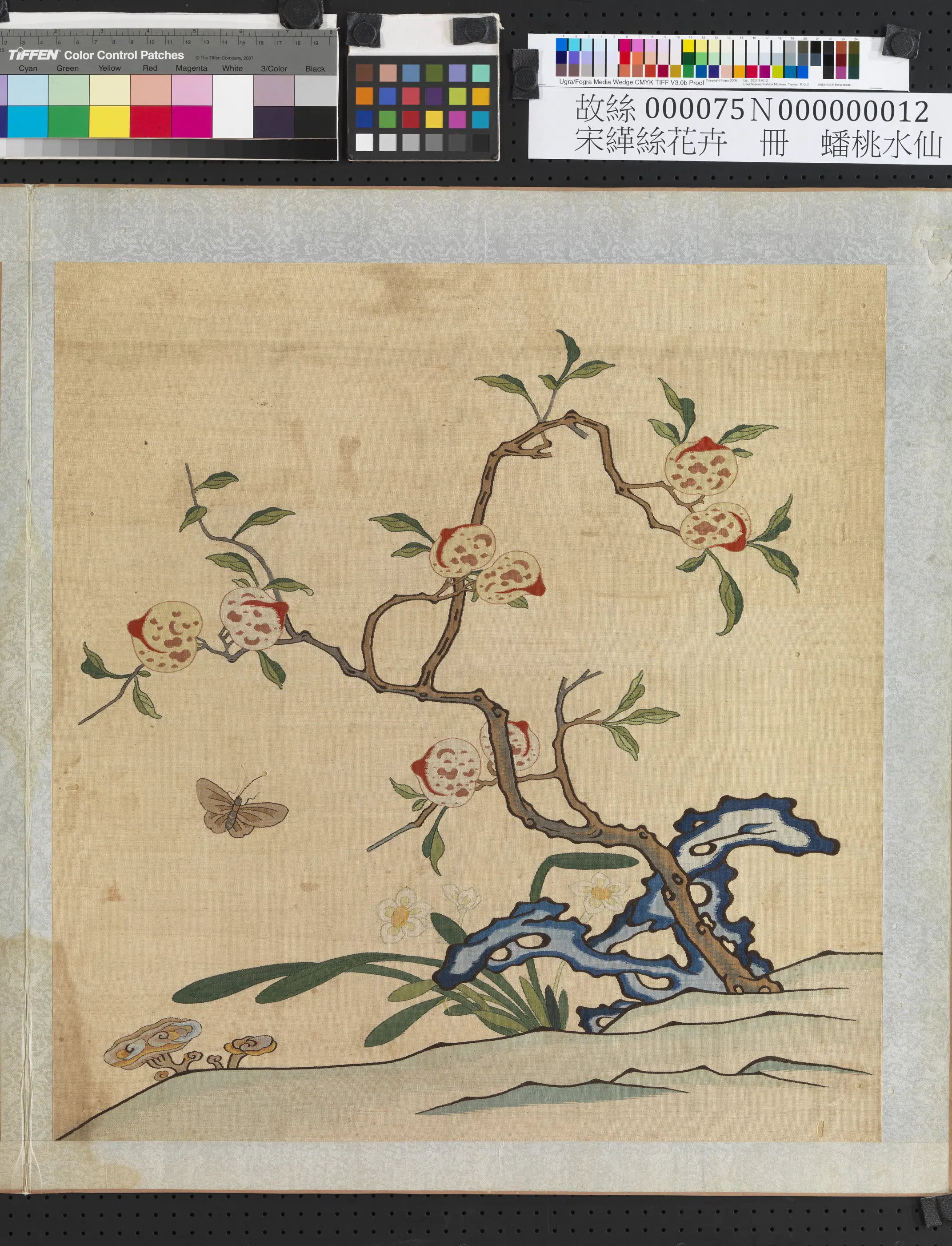 清朝【佚名】《刻丝花卉册-蟠桃水仙》