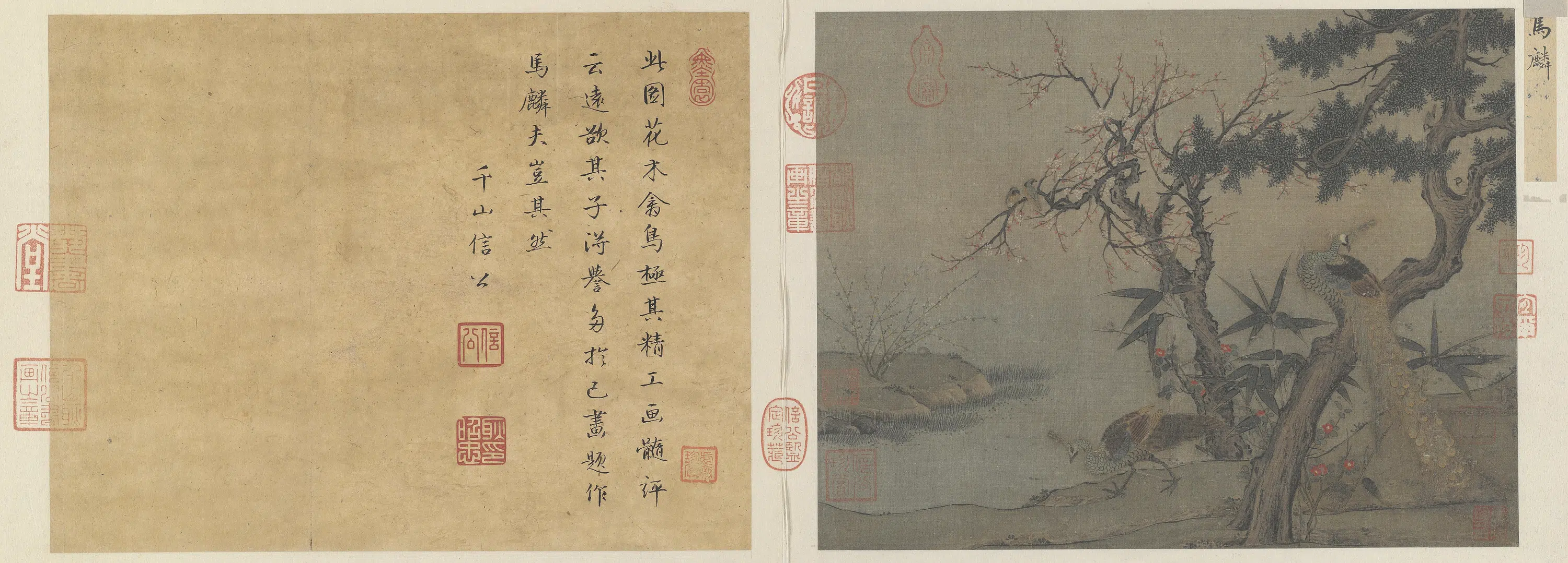宋代【佚名】《红梅孔雀图页》