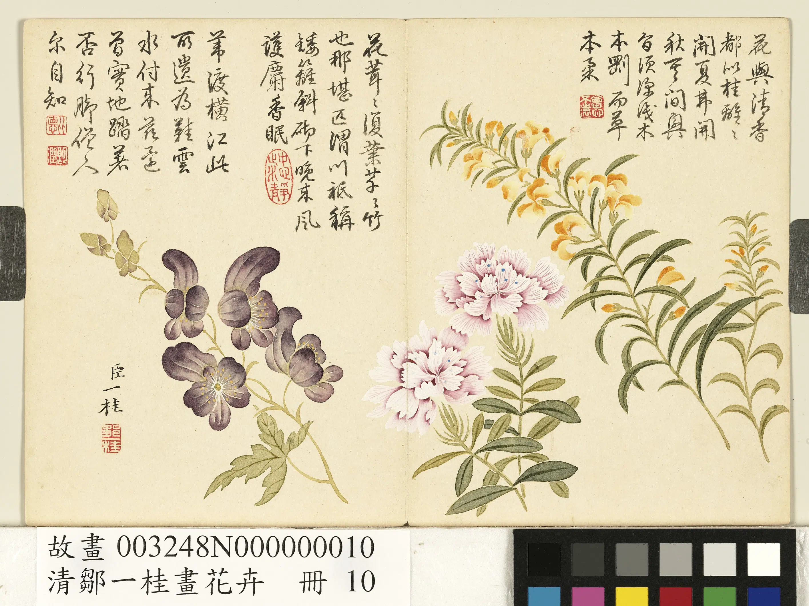 清代【邹一桂】《画花卉册》 第7张 清代【邹一桂】《画花卉册》 第7张