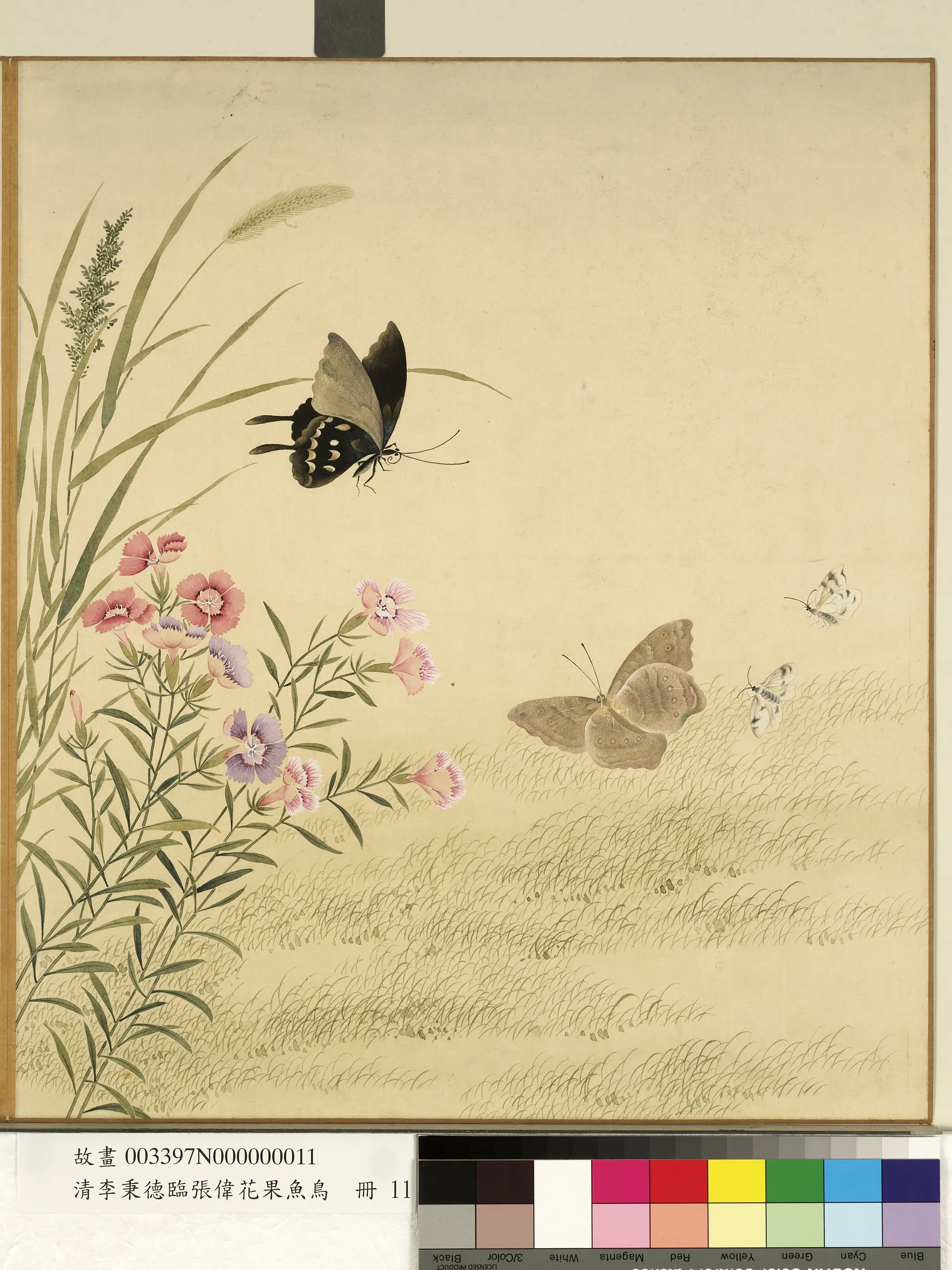 清代【李秉德】《临张伟花果鱼鸟册-石竹蛱蝶》