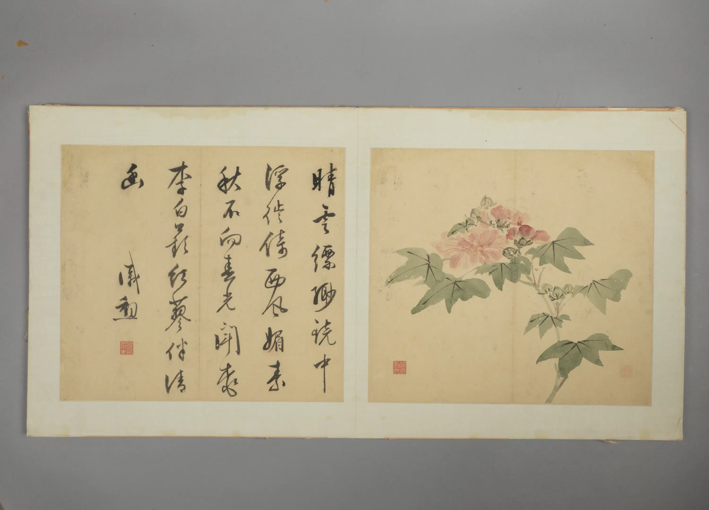 明朝【戚勋】《花卉册》 第4张