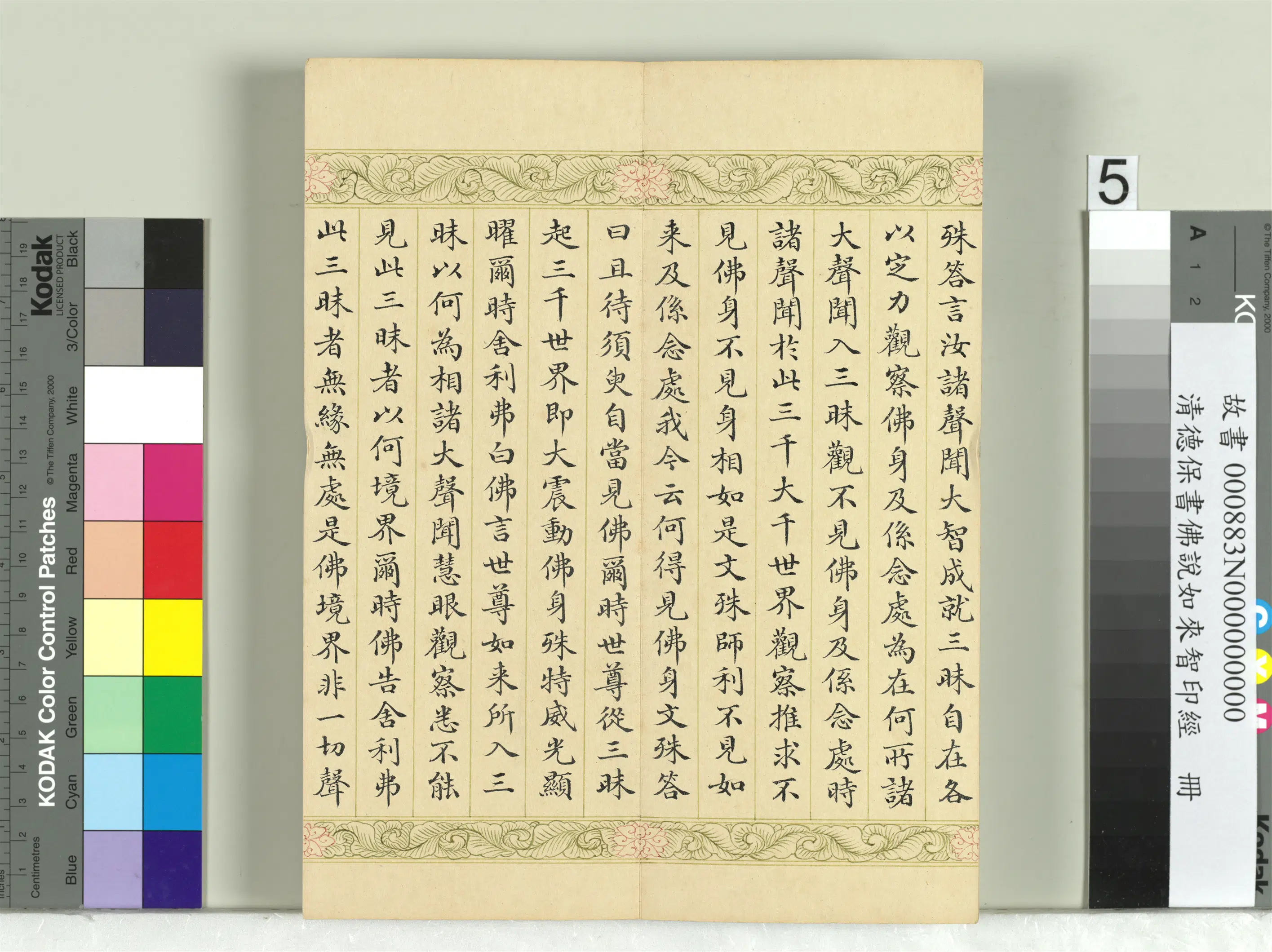 清代【德保】《佛说如来智印经册》 第49张