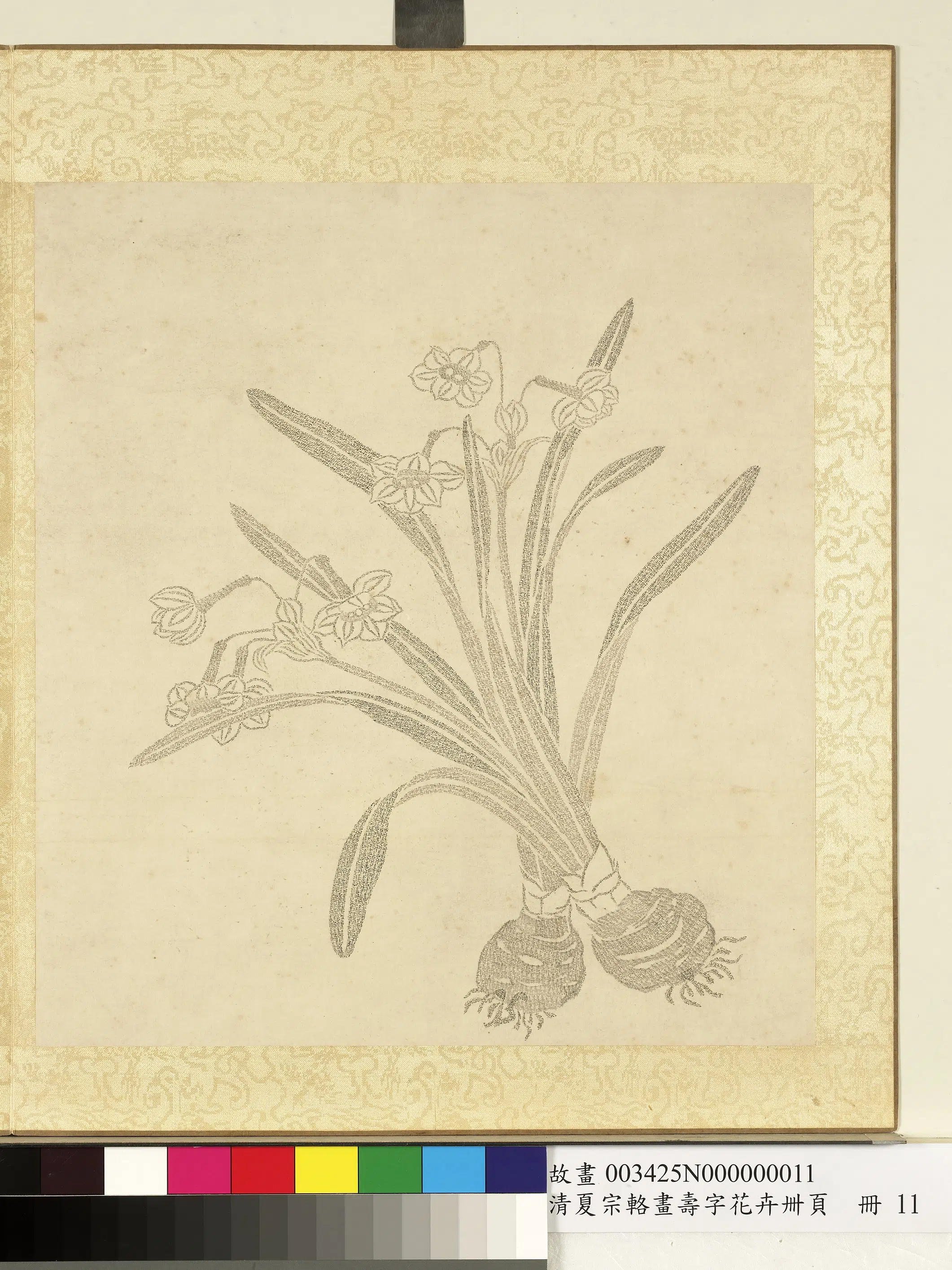 清代【夏宗辂】《画寿字花卉册-水仙》