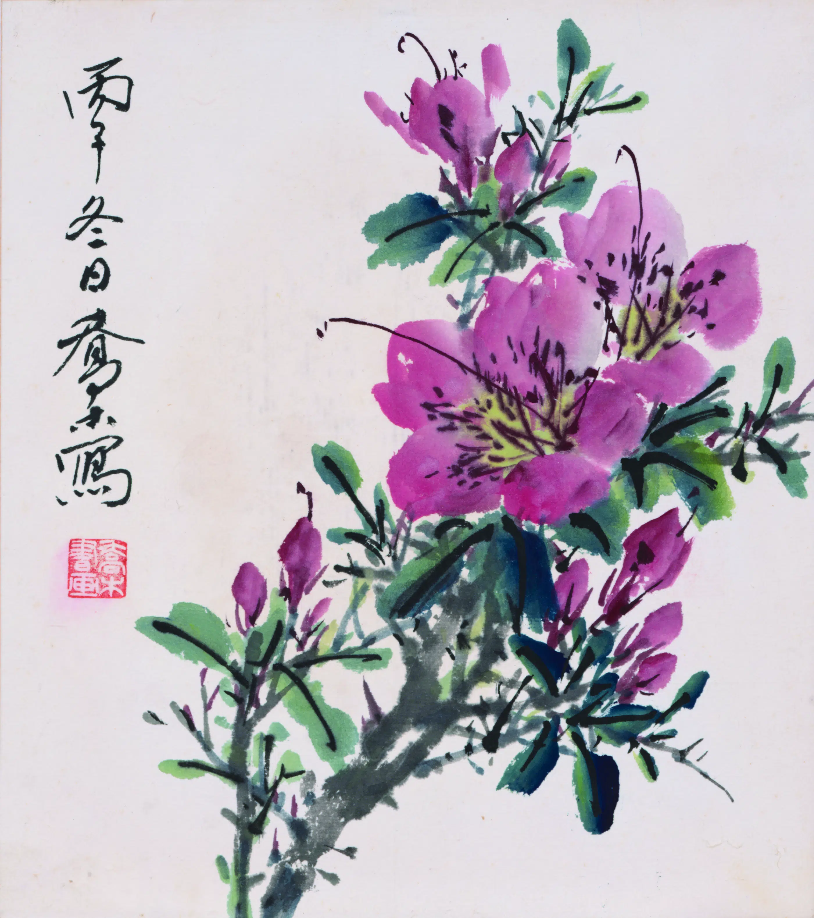 近现代【乔木】《杜鹃花》
