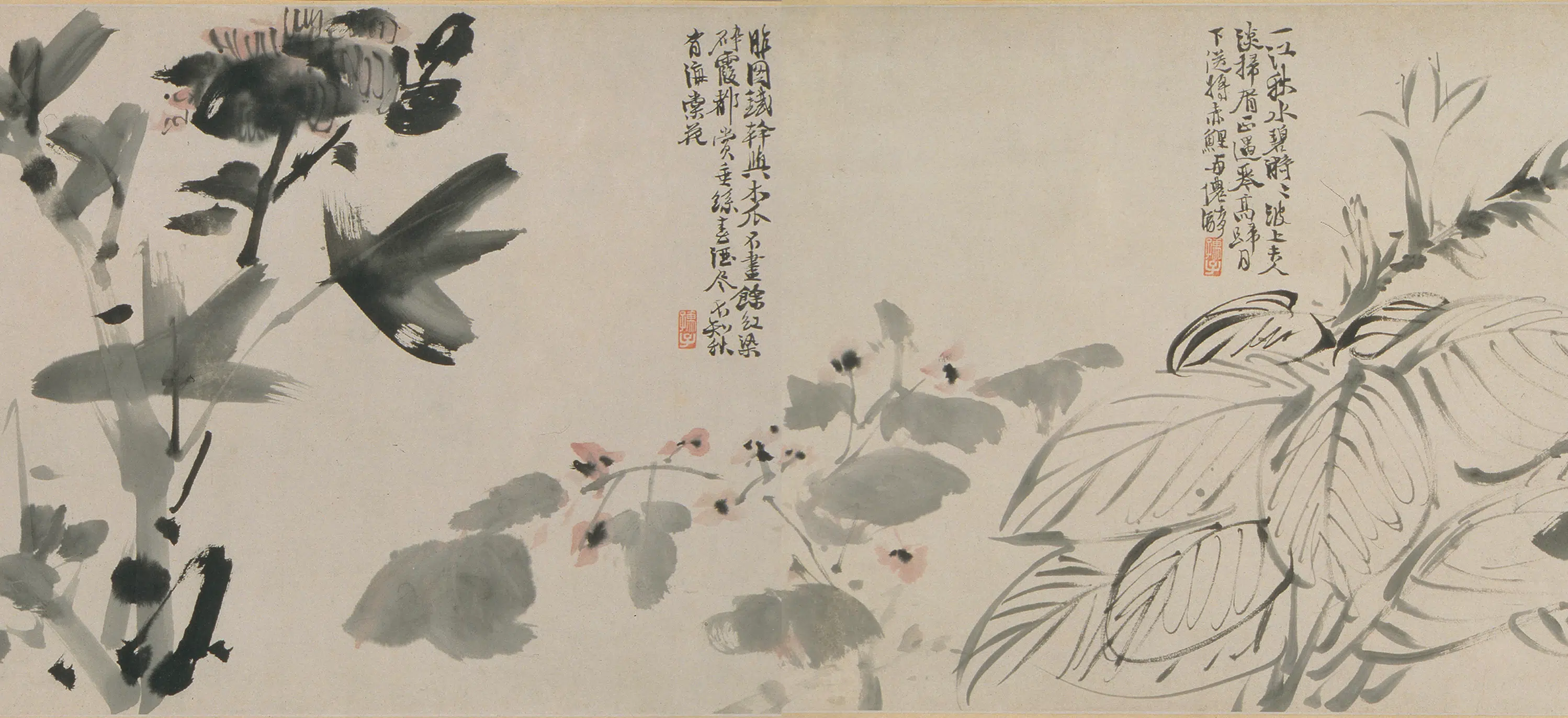 明朝【徐渭】《花卉图卷》 第3张 明朝【徐渭】《花卉图卷》 第3张