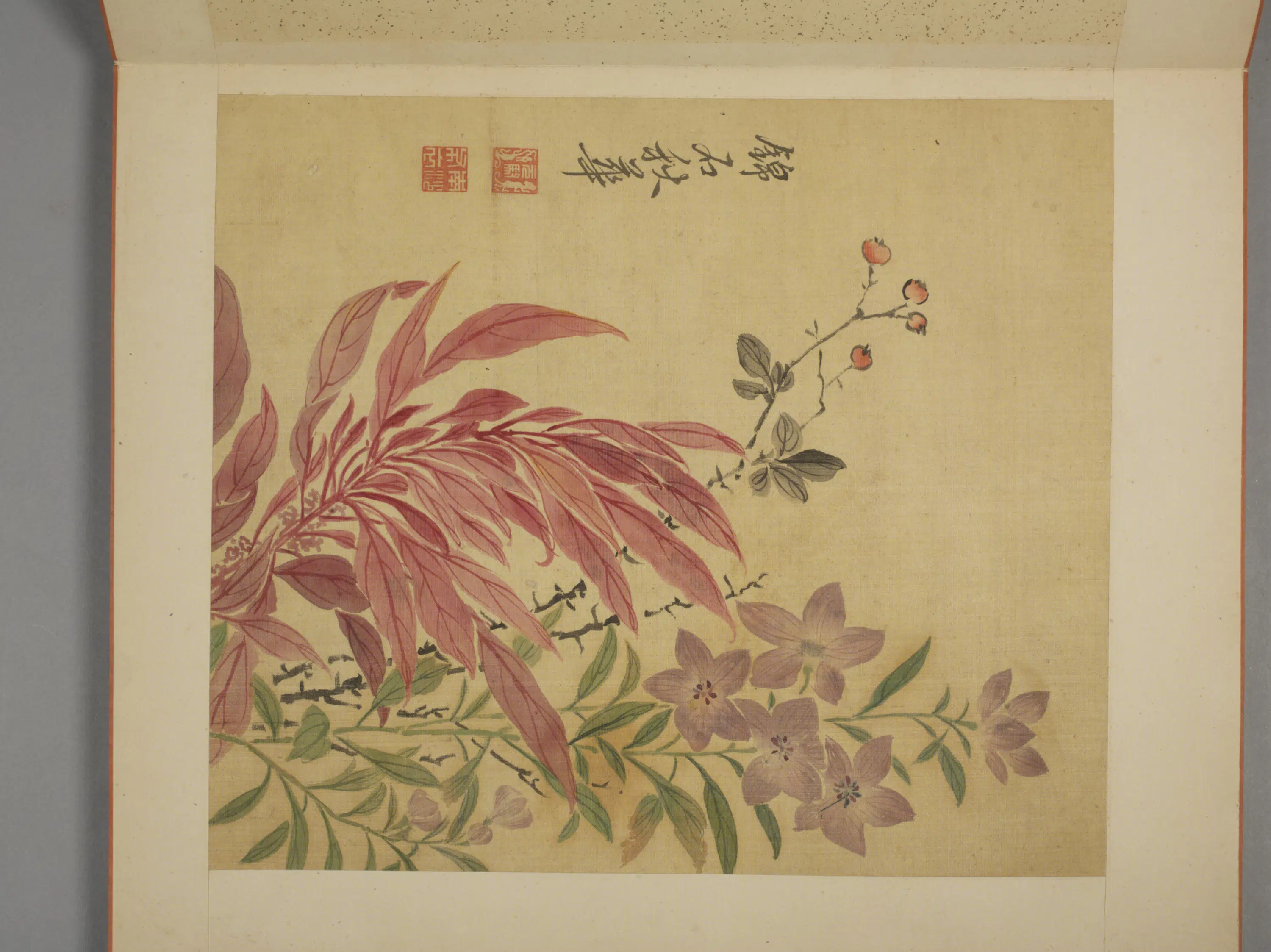 清代【马元驭】《花卉册》 第7张