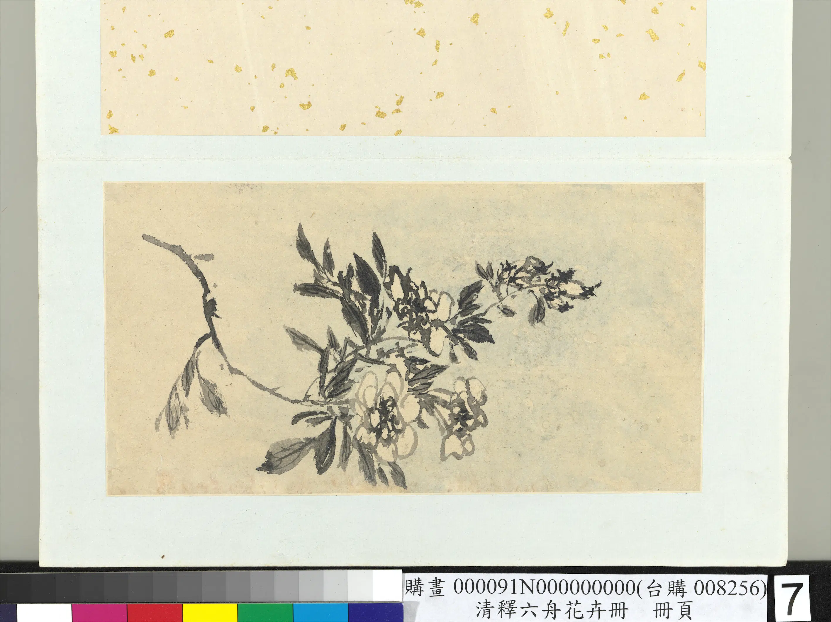 清代【释达受】《花卉册》 第2张