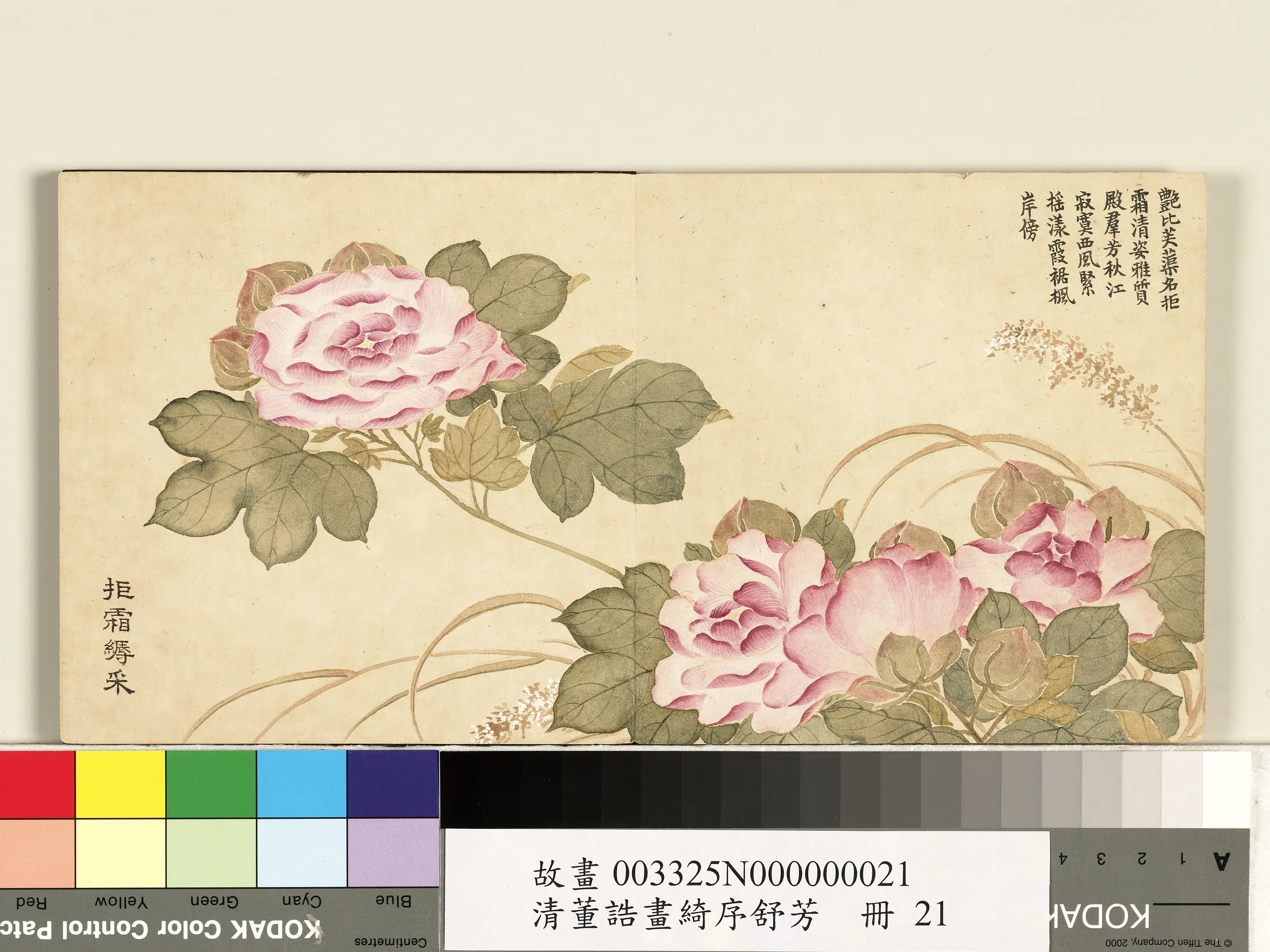 清代【董诰】《画绮序舒芳册-拒霜缛采》