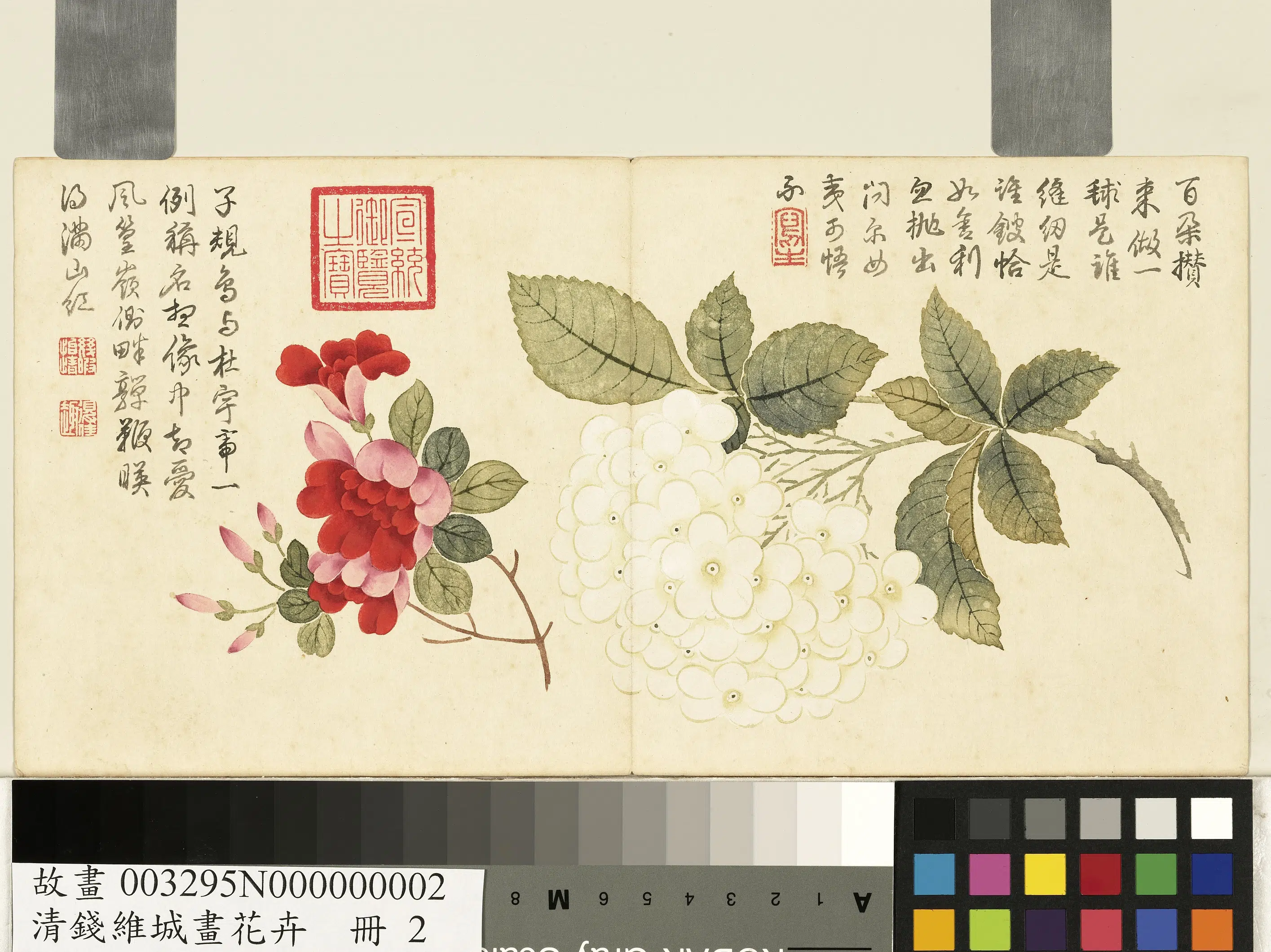 清代【钱维城】《画花卉册-1》 第2张 清代【钱维城】《画花卉册-1》 第2张