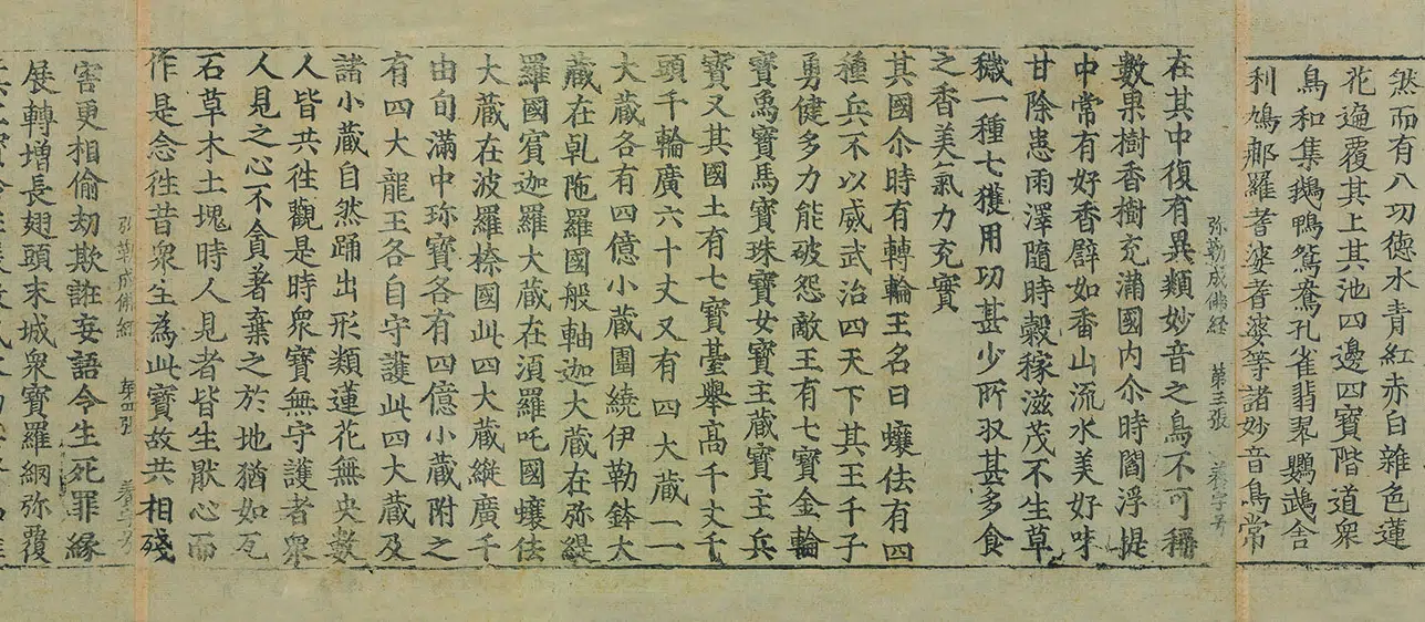 金朝【佚名】《佛说弥勒下生成佛经佛说弥勒来时经》 第11张